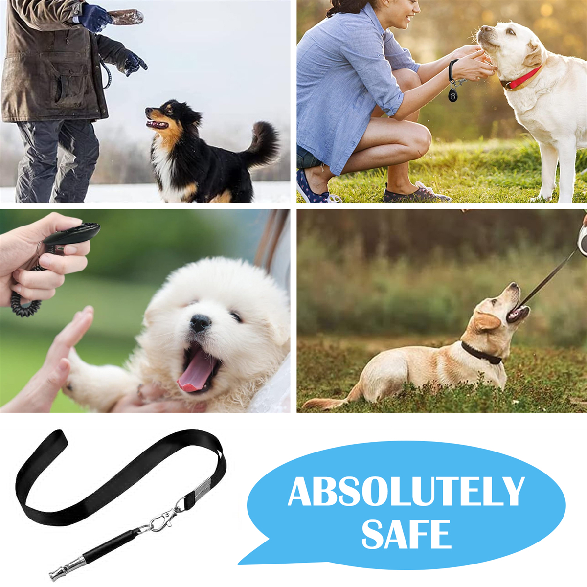 Collage von Bildern, die verschiedene Hundetrainingsaktivitäten mit einer Pfeife und dem Text 'ABSOLUTELY SAFE' zeigen.
