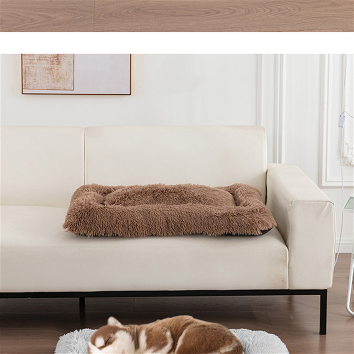 Haustierbett auf einer weißen Couch und ein Hund, der auf einem grauen Bett liegt.