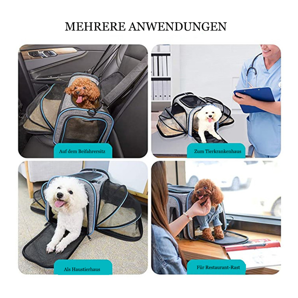 Vier Bilder mit Hunden in Haustiertransportboxen. Im Auto, beim Tierarzt, zu Hause und im Restaurant. Boxen grau.