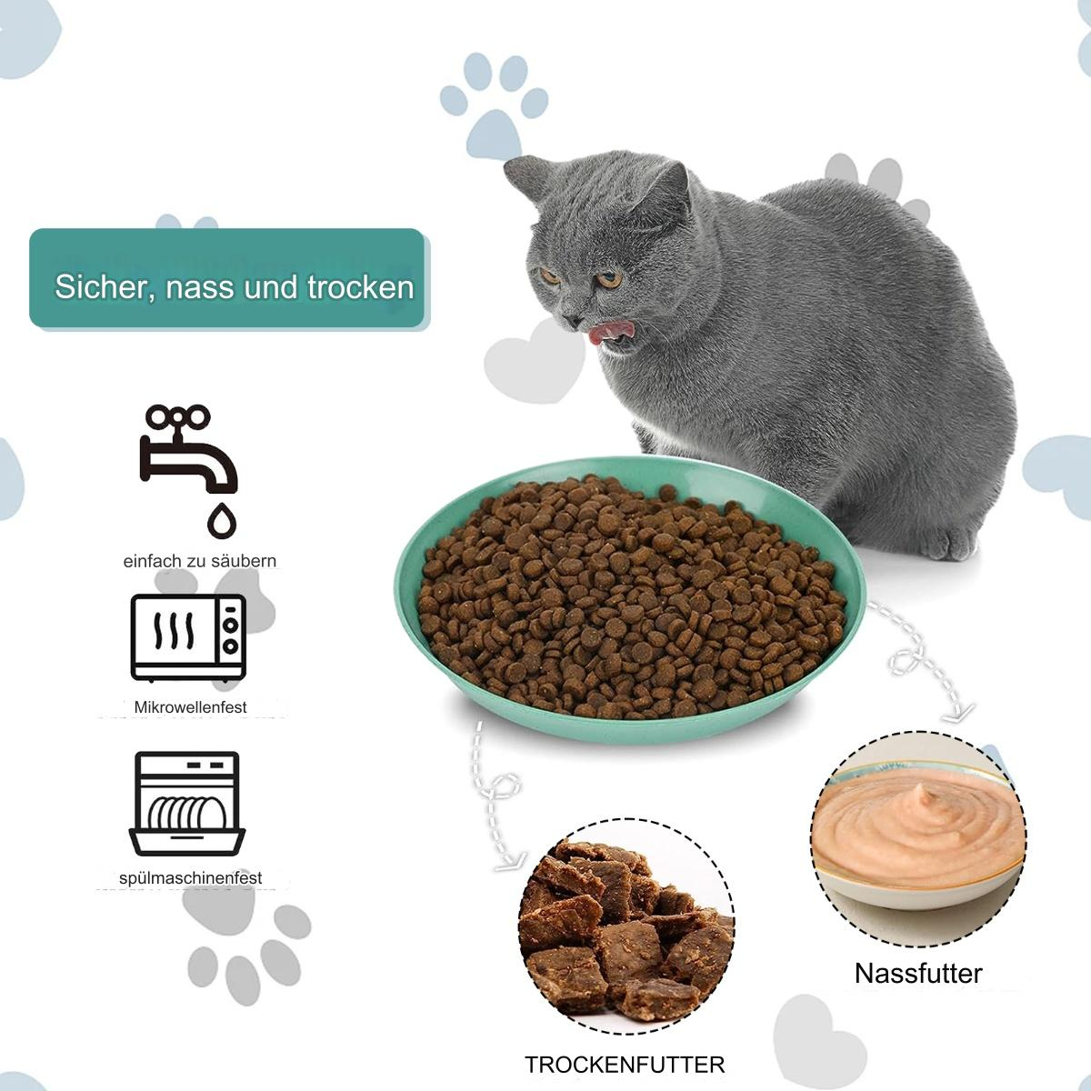 Graue Katze, die Futter in einer grünen Schüssel betrachtet. Text beinhaltet: sicher, nass, trocken, leicht zu reinigen.