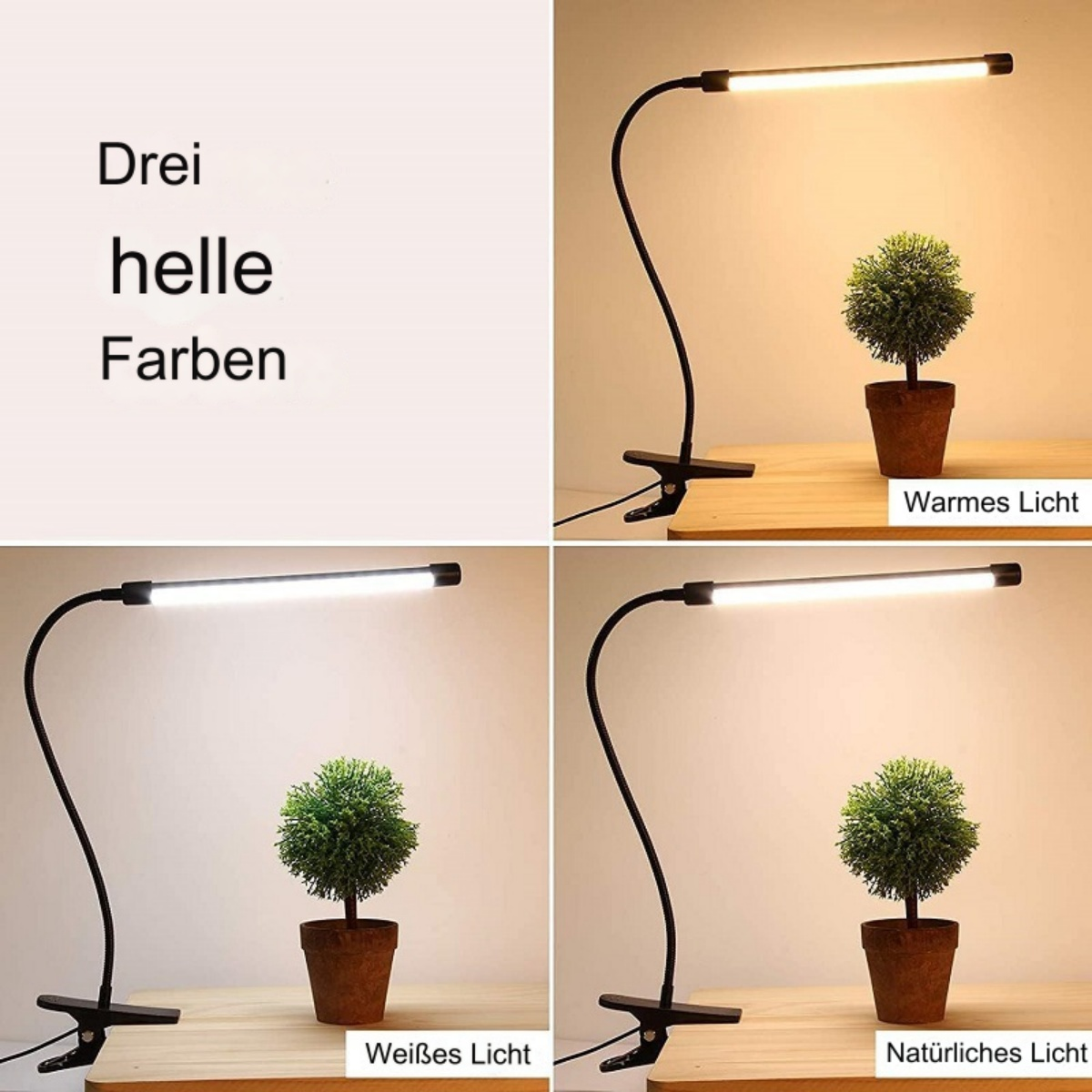 Vier Lampen mit einer kleinen Pflanze. Die Lampen haben verschiedene Lichteinstellungen: warm, weiß und natürlich.