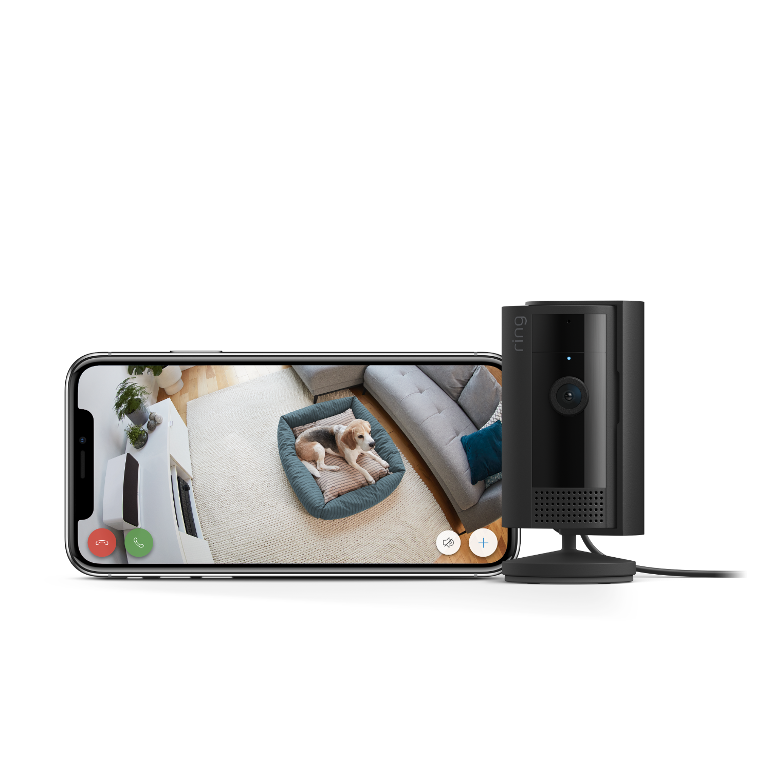 Telefon wyświetla psa w łóżku, po prawej czarna kamera bezpieczeństwa.