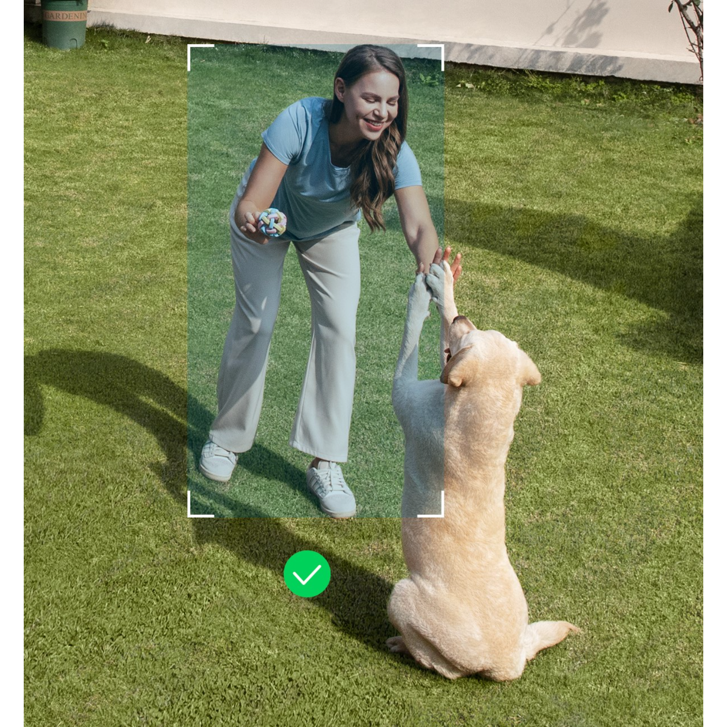 Kobieta w niebieskim wchodzi w interakcję z psem na trawiastym terenie, zaznaczonym zieloną ramką.