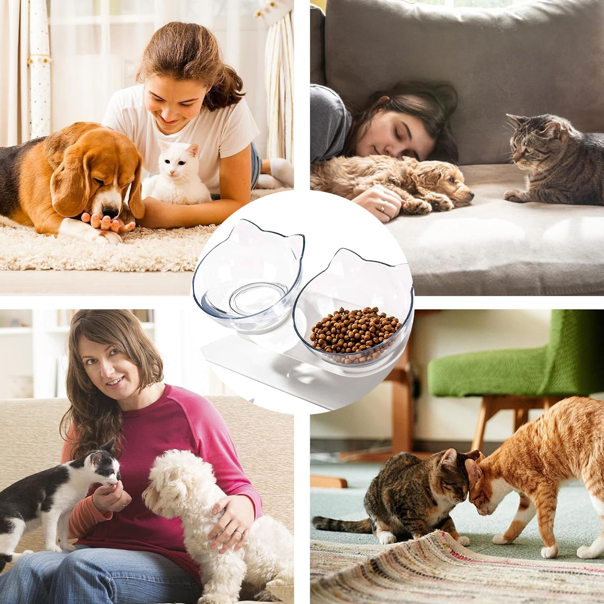 Collage von Haustieren mit Menschen. Enthält Hund, Katze und Futternäpfe.