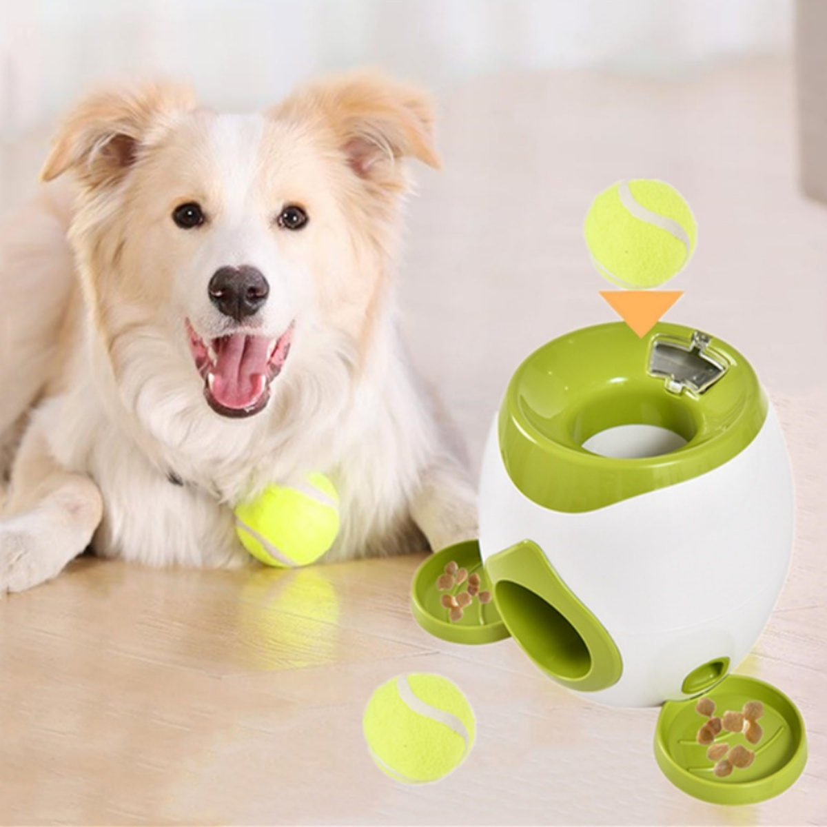 Ein Hund beobachtet, wie ein Ball in einen grün-weißen Haustier-Ballwerfer fällt, mit verstreuten Leckerlis.