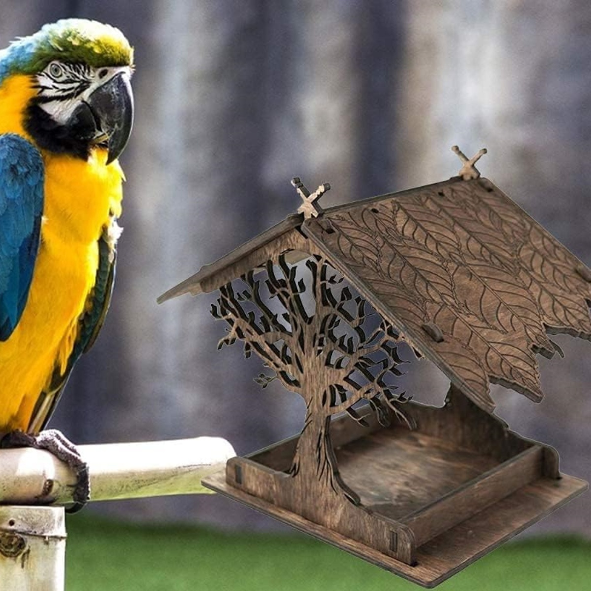 Papagei auf einer Stange. Rechts ist ein hölzerner Vogelfutterspender. Der Hintergrund ist unscharf.