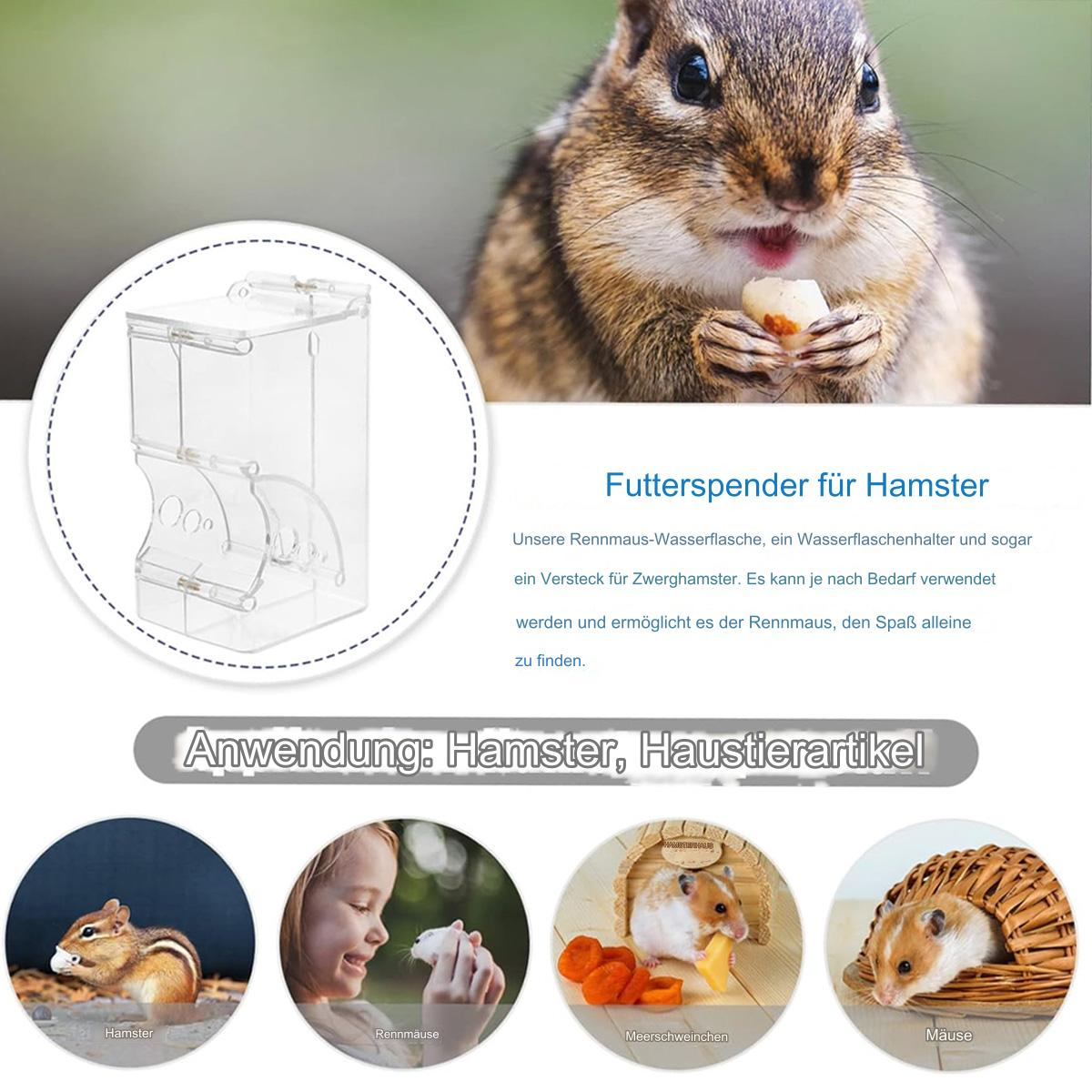 Ein Hamsterfutterspender und Hamster in verschiedenen Umgebungen. Ein Chipmunk isst ein Stück Essen.