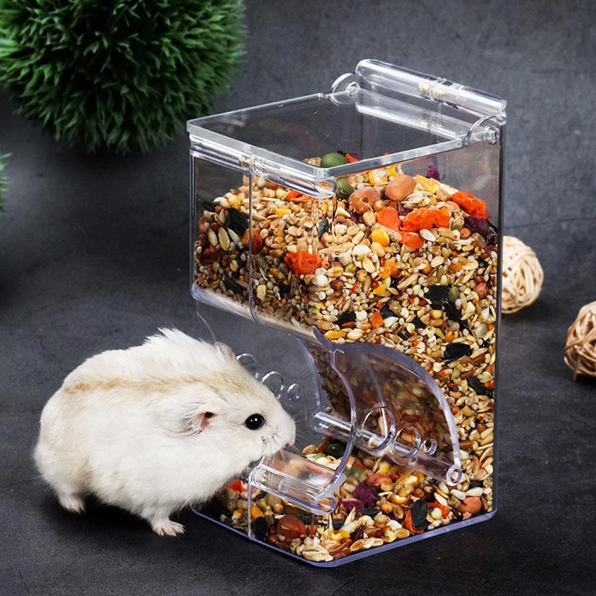 Ein Hamster frisst aus einem transparenten Kunststoff-Futterspender mit gemischten Samen und Körnern.
