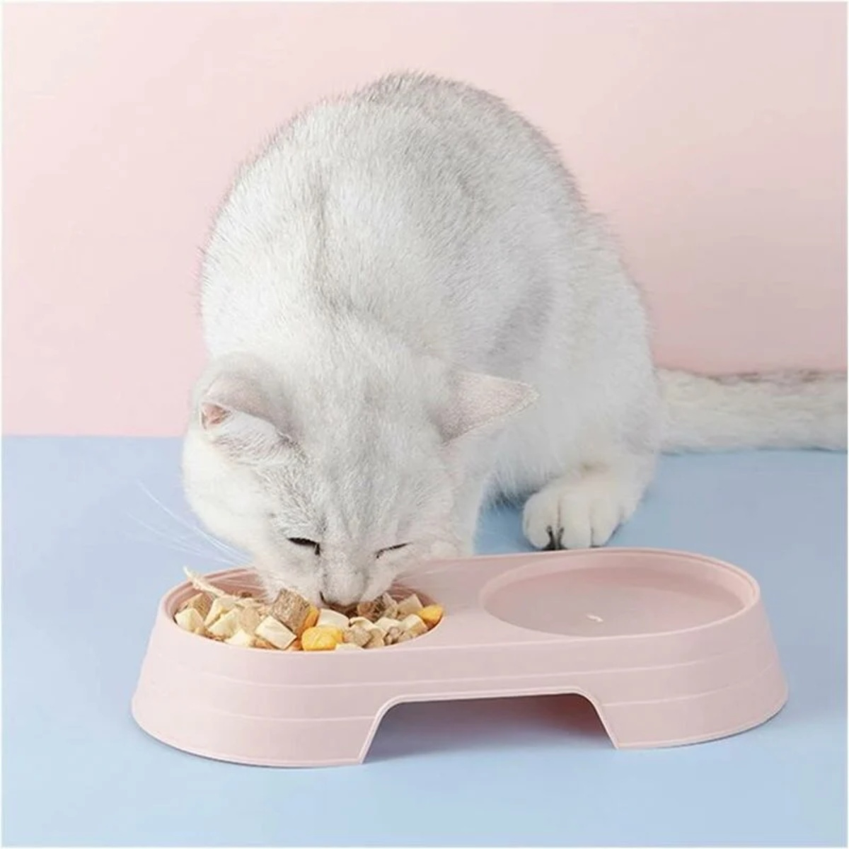 Eine weiße Katze, die aus einer rosa Doppelschüssel isst. Die Schüsseln stehen auf einer rosa Oberfläche.