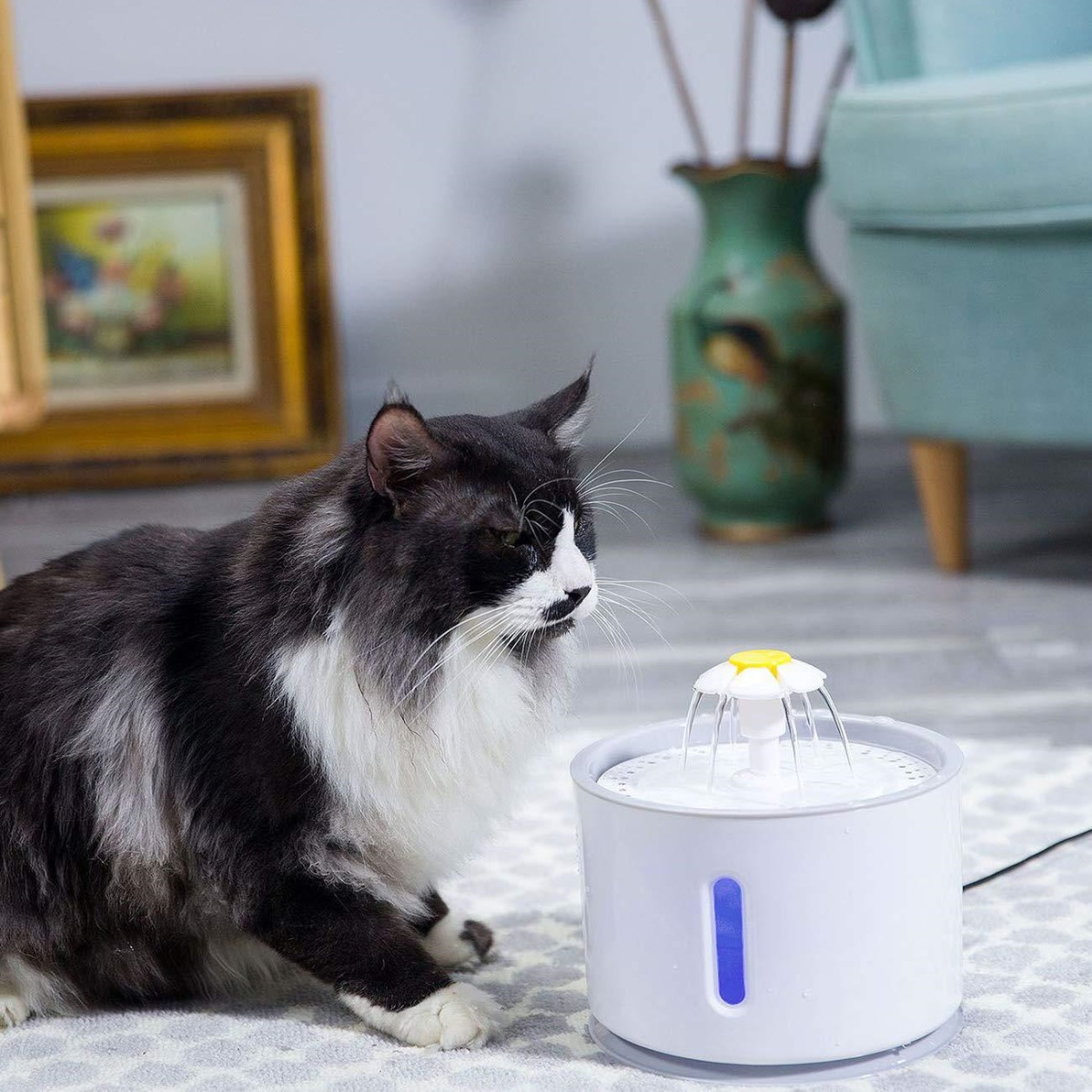 Eine schwarz-weiße Katze sitzt in der Nähe eines weißen Haustier-Wasserbrunnens mit blauem Licht und fließendem Wasser.