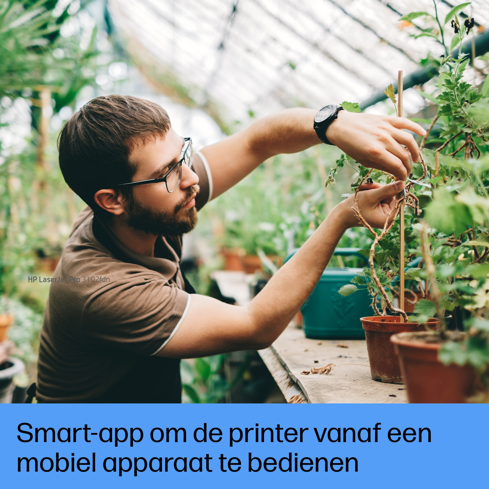 Mężczyzna pielęgnujący rośliny w szklarni. Nosi okulary i zegarek.