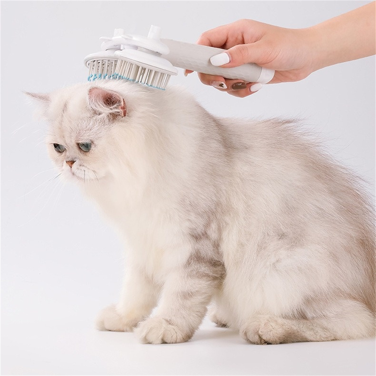 Eine Person bürstet eine weiße Katze mit einer Pflegebürste. Die Katze sitzt.