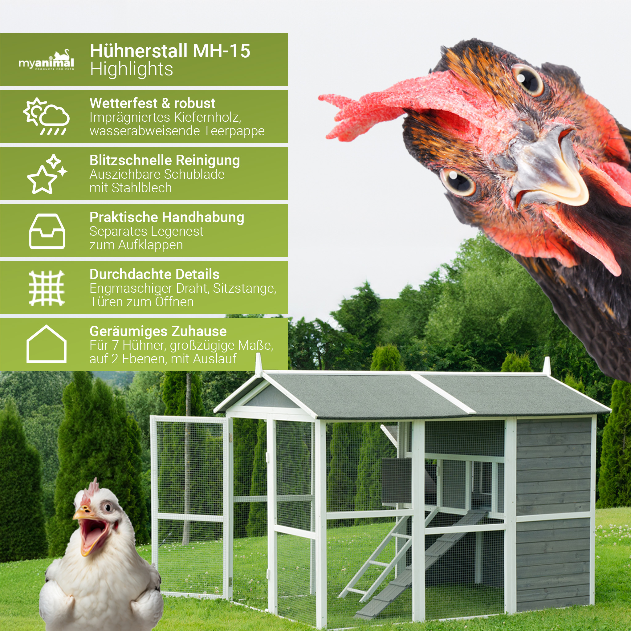 Hühnerstall mit Huhn, Textfeldern und grünen Bäumen im Hintergrund.
