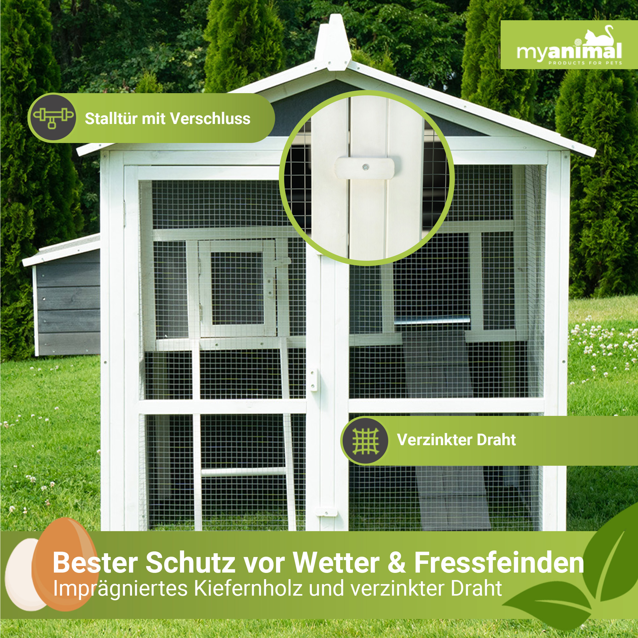 Ein weißer Hühnerstall aus Holz mit Drahtgeflecht. Im Vordergrund liegen zwei Eier.