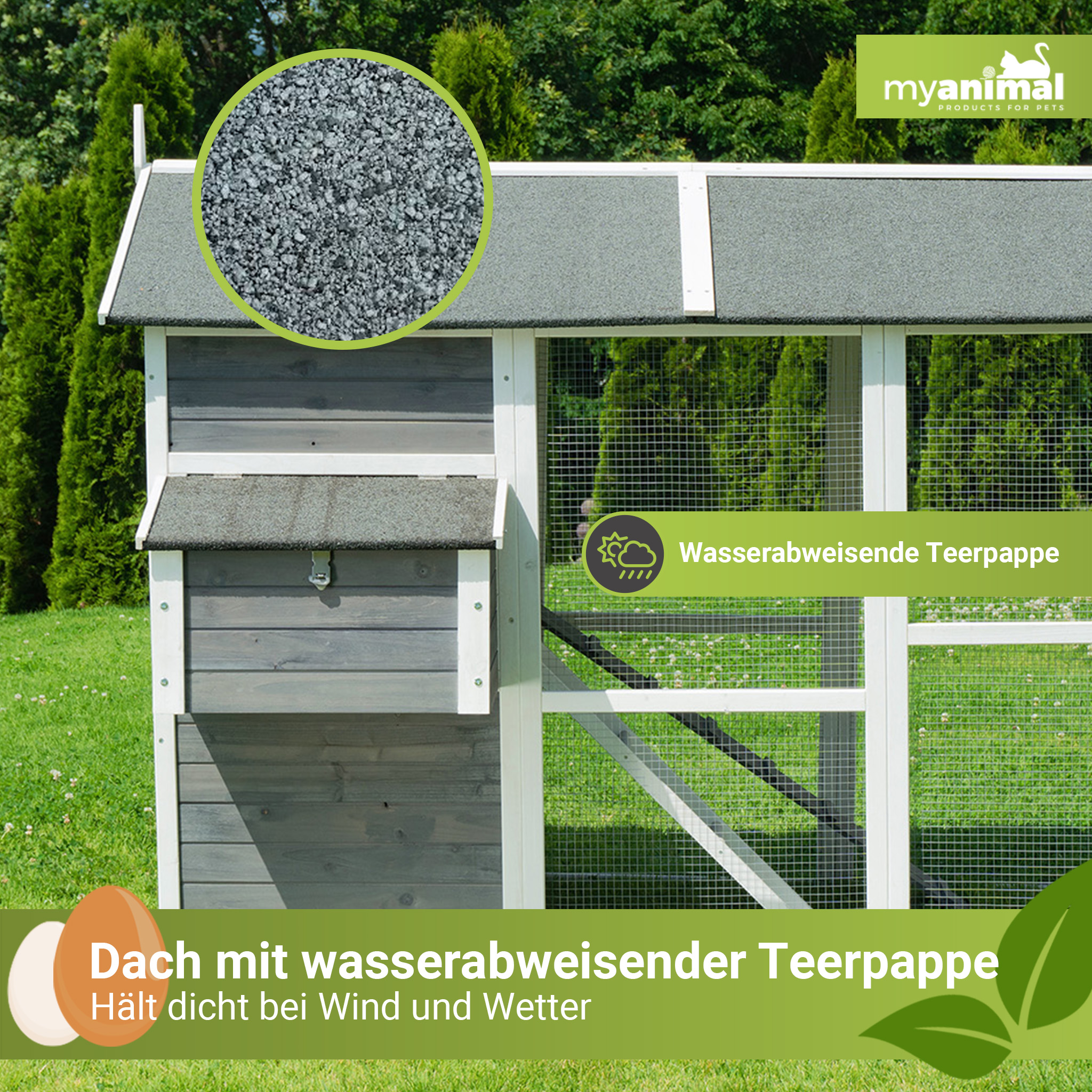 Ein grau-weißer Hühnerstall mit Rasen, Text über wasserdichte Dachpappe und Eier.