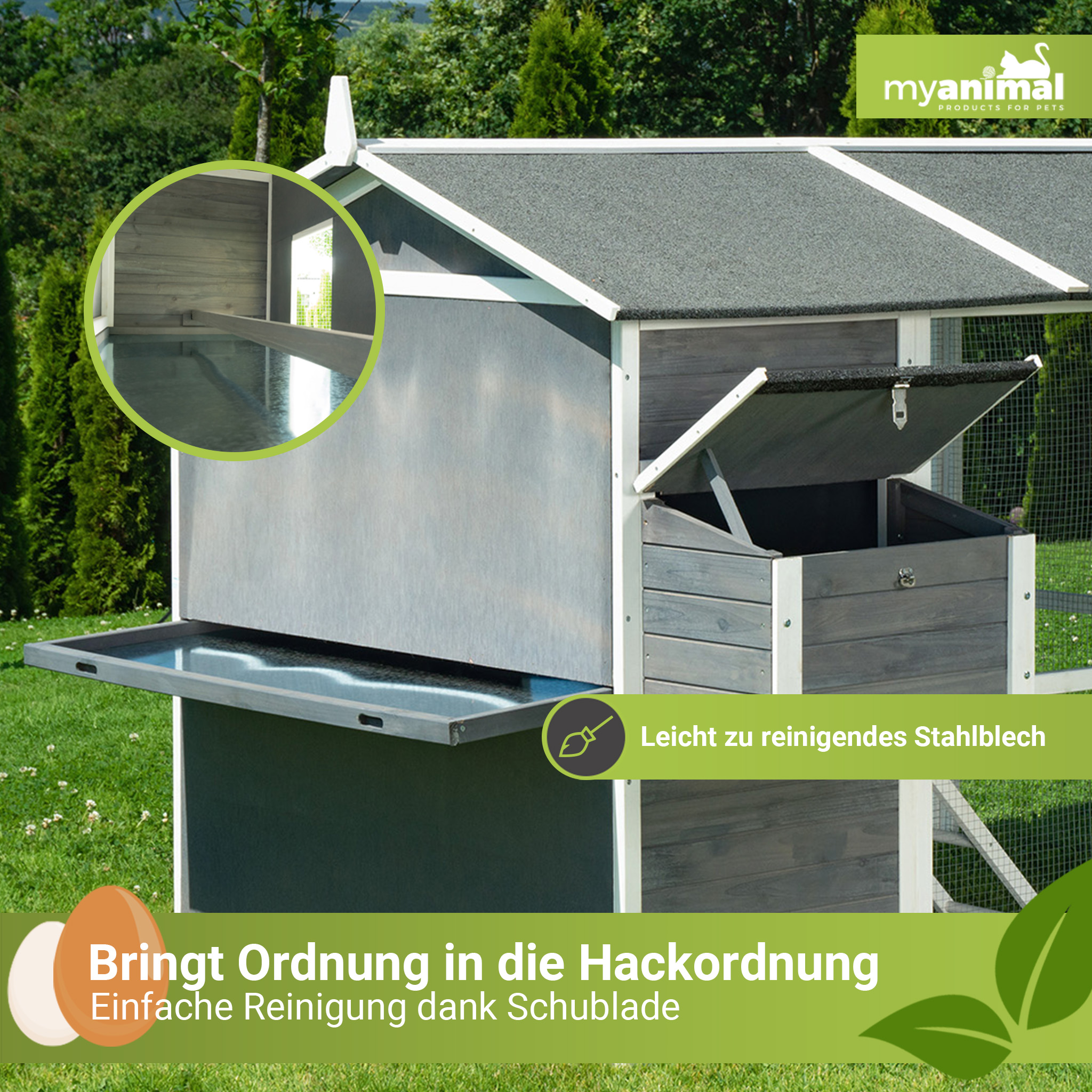Ein Hühnerstall mit offener Tür und Blick ins Innere.