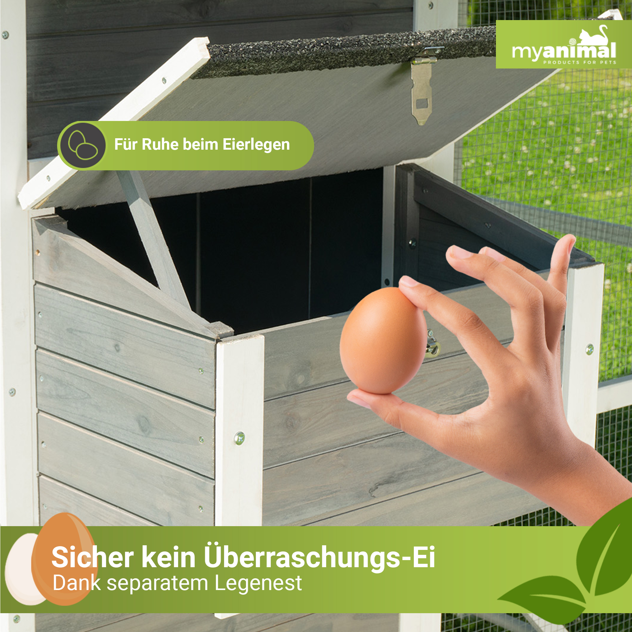 Hand hält Ei neben Hühnerstall. Die Stalltür ist offen.