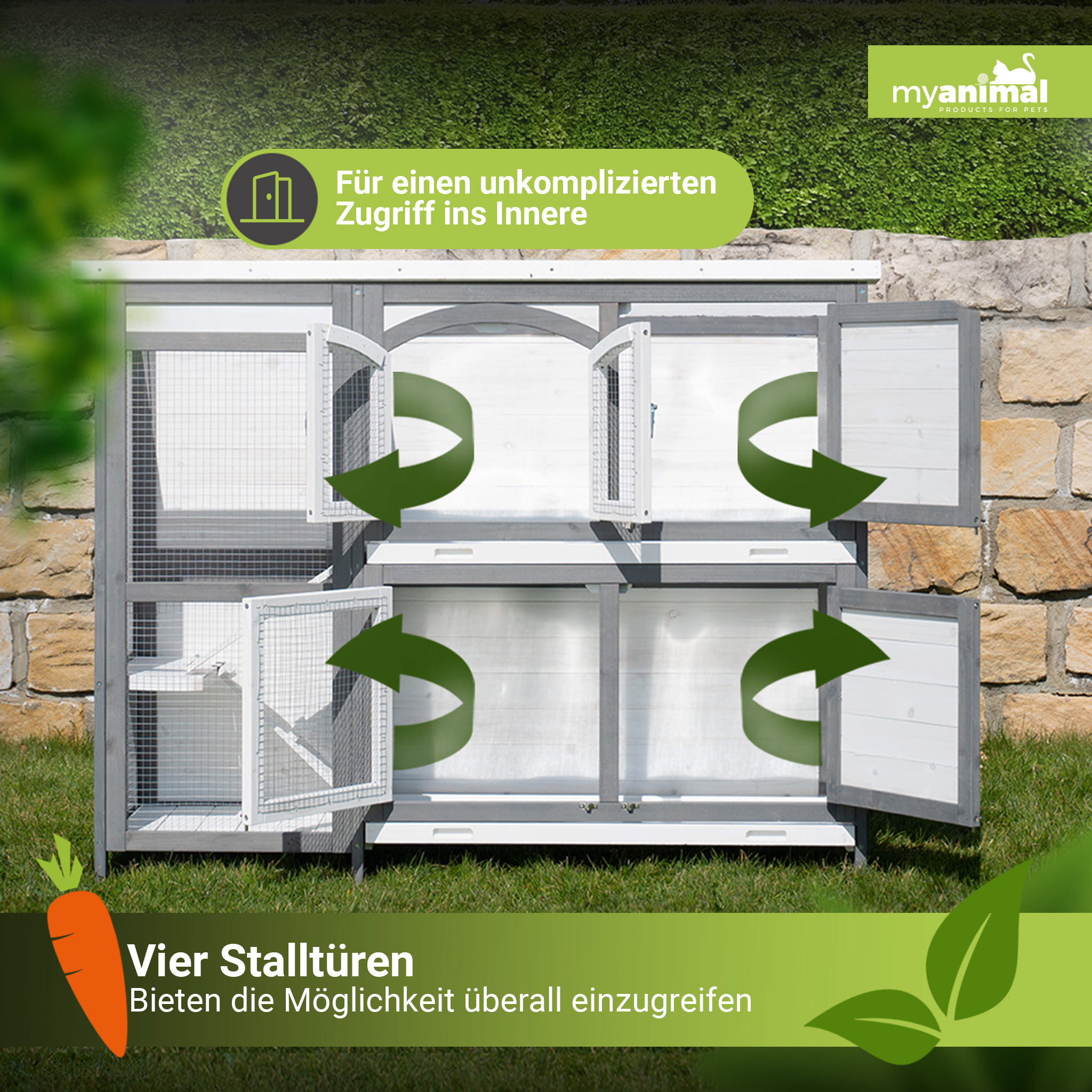 Kaninchenstall mit mehreren offenen Türen. Grüne Pfeile zeigen den Zugang an. Karotten- und Blattgrafik.