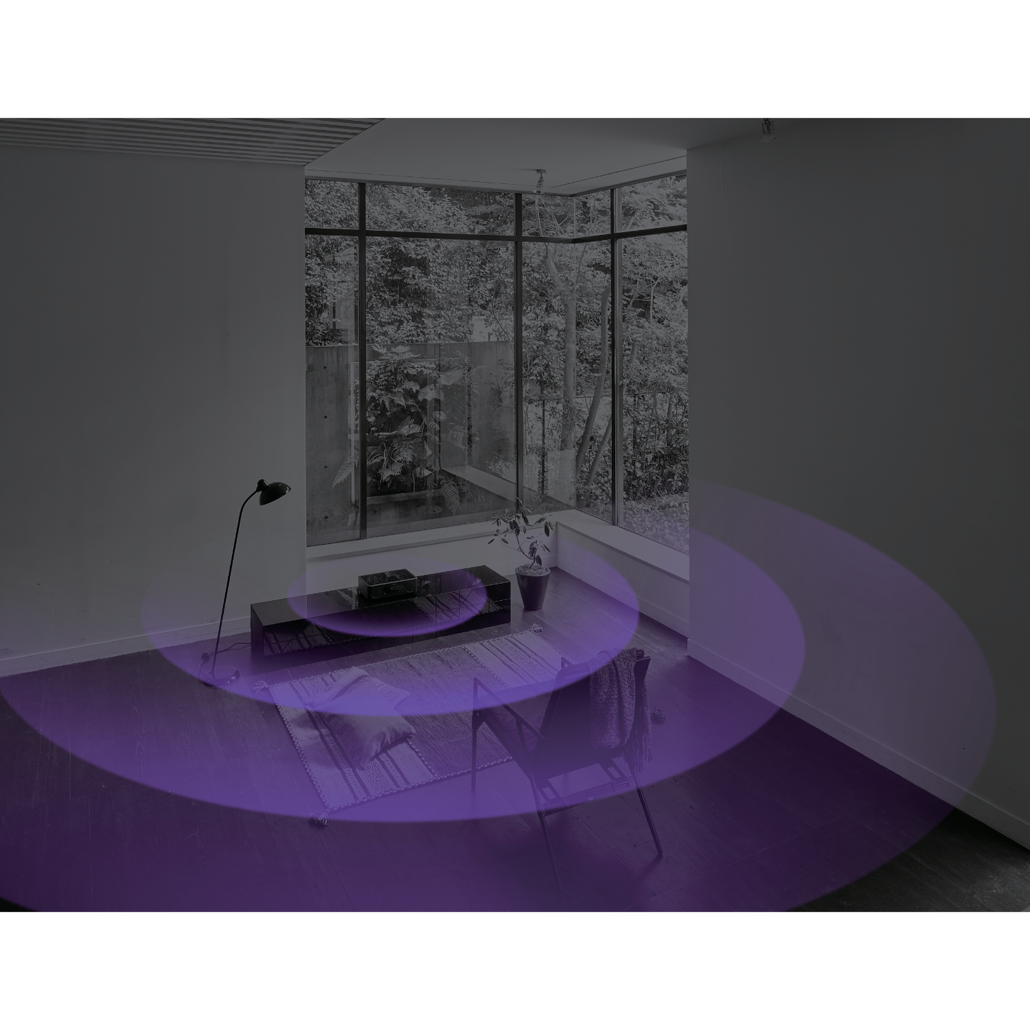 Innenaufnahme eines Raumes mit einer schwarzen Lampe, einem TV-Ständer und einer Pflanze. Kreisförmige, violette Lichter.