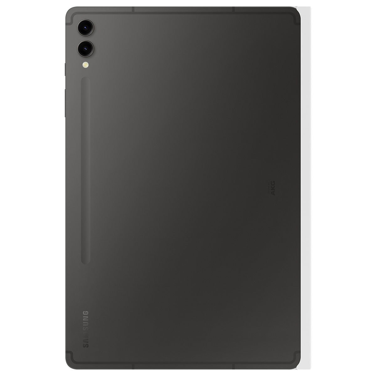 Tablet grigio scuro, vista posteriore, che mostra fotocamera, logo Samsung e slot per pennino.