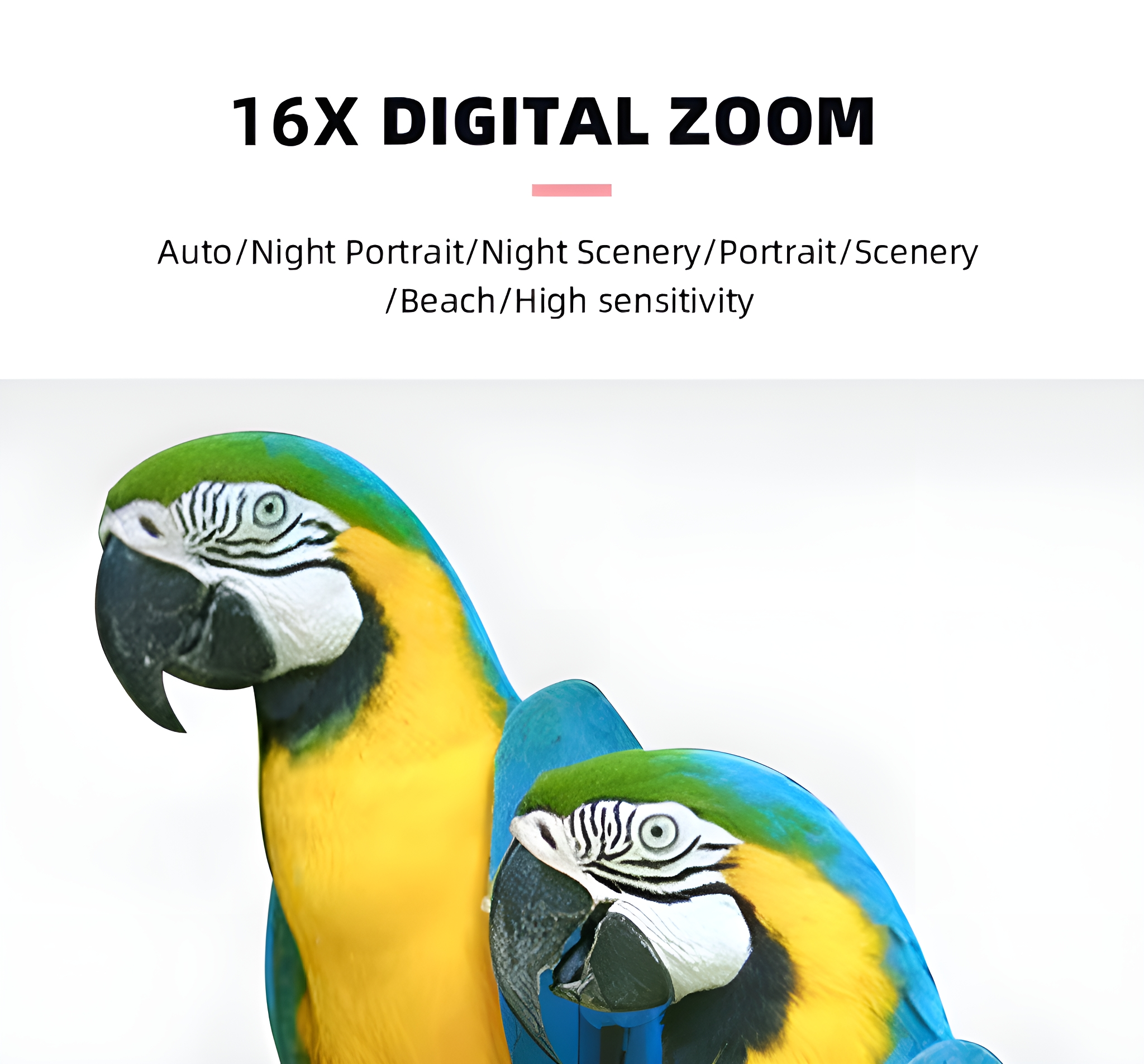 Zwei bunte Papageien, blau und gelb, mit dem Text '16X DIGITAL ZOOM'.