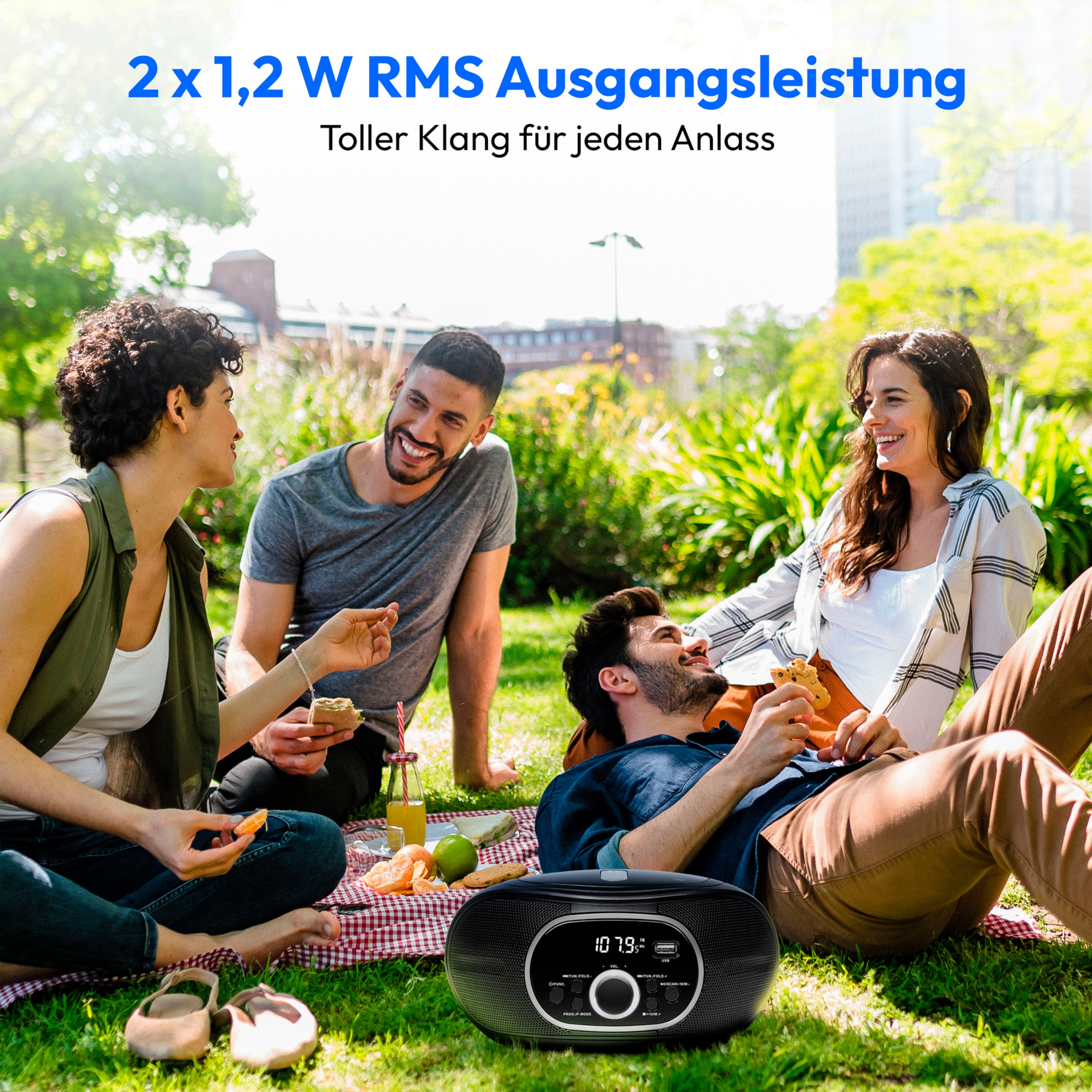 Freunde beim Picknick, Radio davor, sonniger Tag.