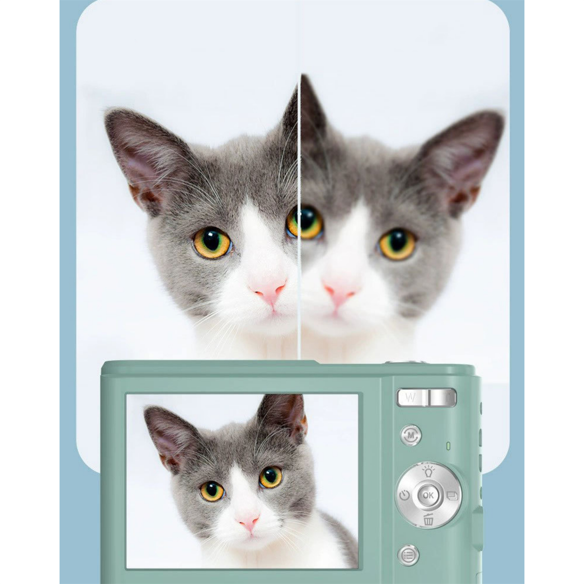 Das Gesicht einer Katze ist geteilt, auf dem Kamerabildschirm zu sehen, die Kamera im Vordergrund.