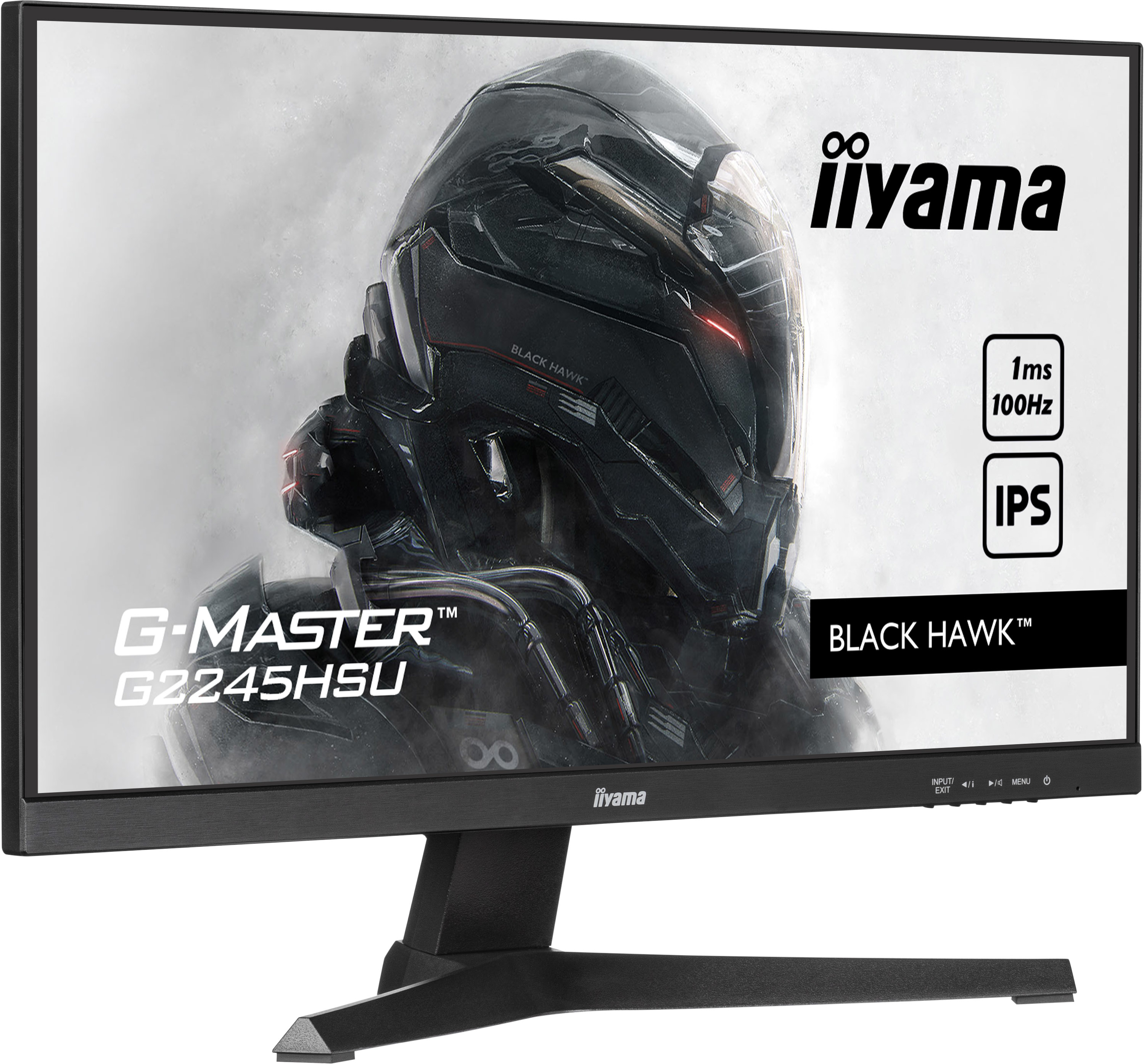 Écran de jeu noir avec une image de faucon noir. Le moniteur porte les logos Iiyama et G-MASTER.