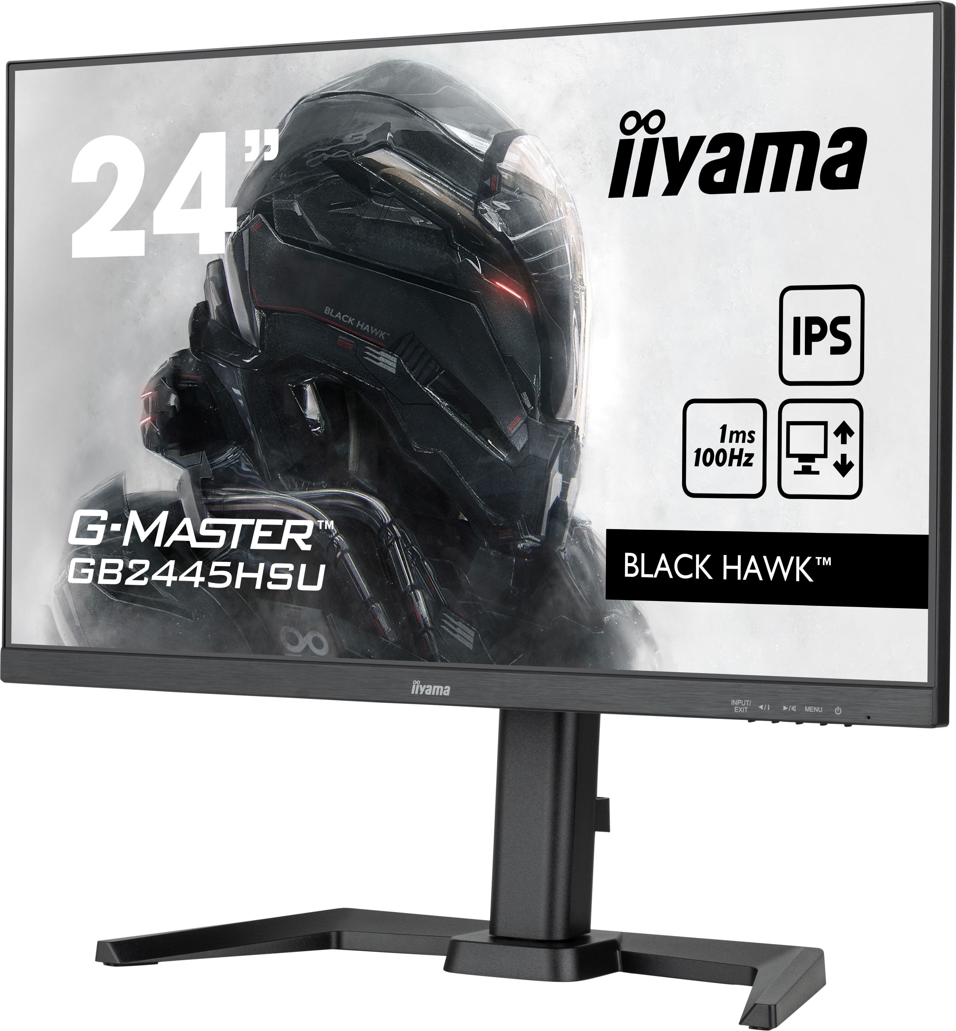 A black computer monitor with the iiyama logo and the words Black Hawk. The monitor is on a stand.