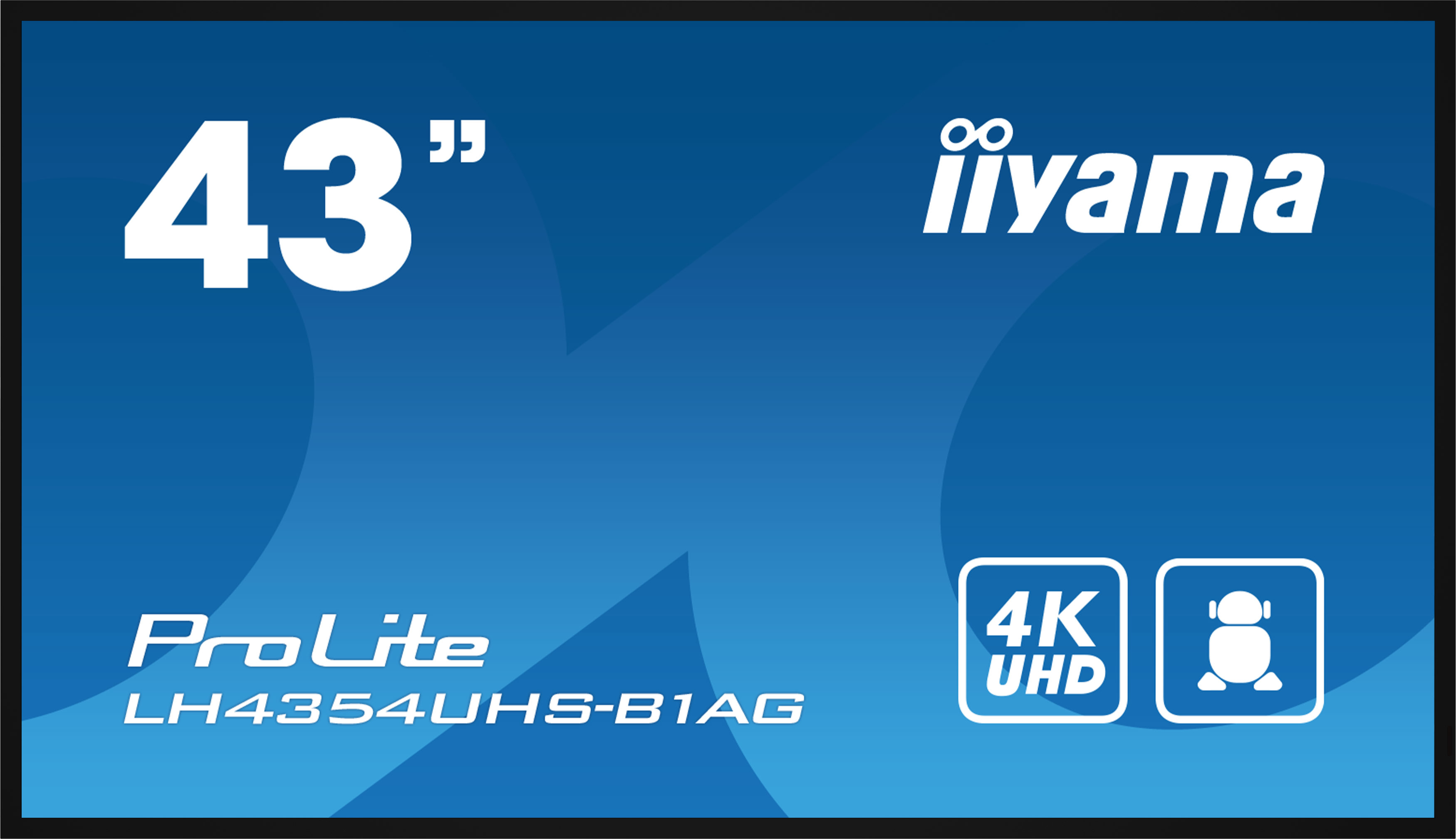Blauer Fernsehbildschirm mit Text: 43", iiyama, ProLite, 4K UHD. Blauer Hintergrund.