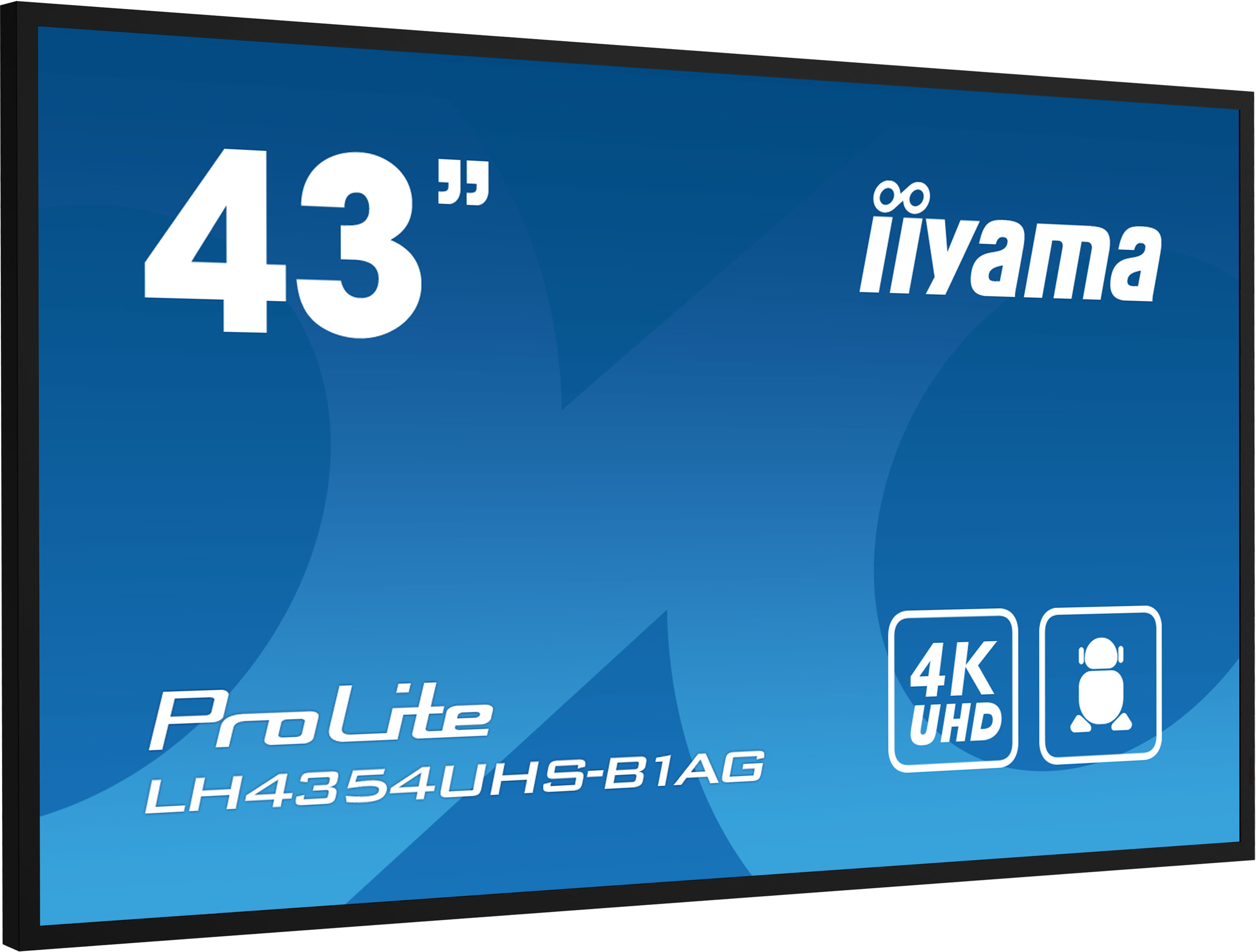 43 Zoll iiyama ProLite TV-Bildschirm, blauer Hintergrund. 4K UHD und iiyama Logos.