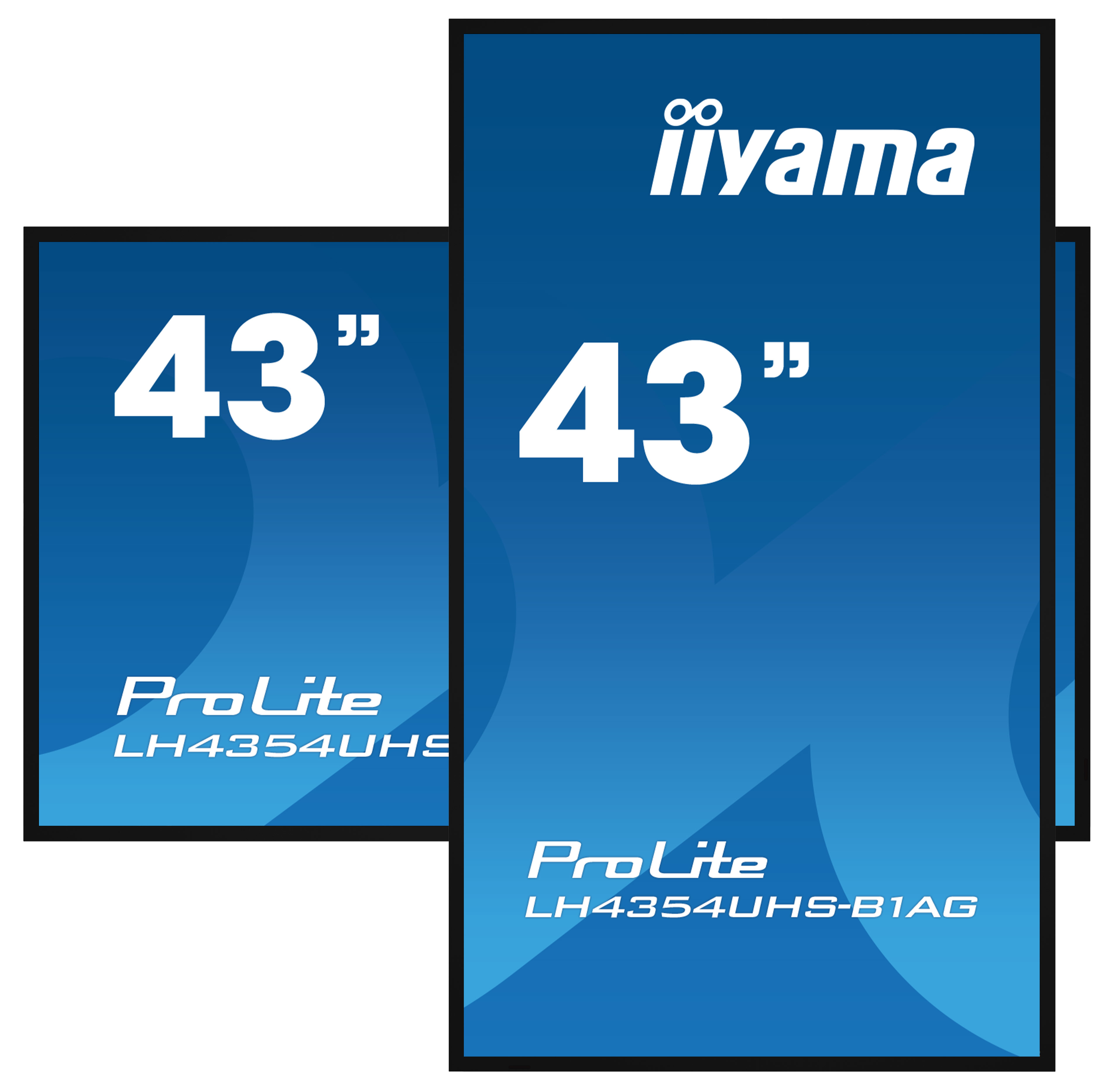 Zwei 43-Zoll-iiYama ProLite Monitore mit blauem Farbverlauf, vor weißem Hintergrund.