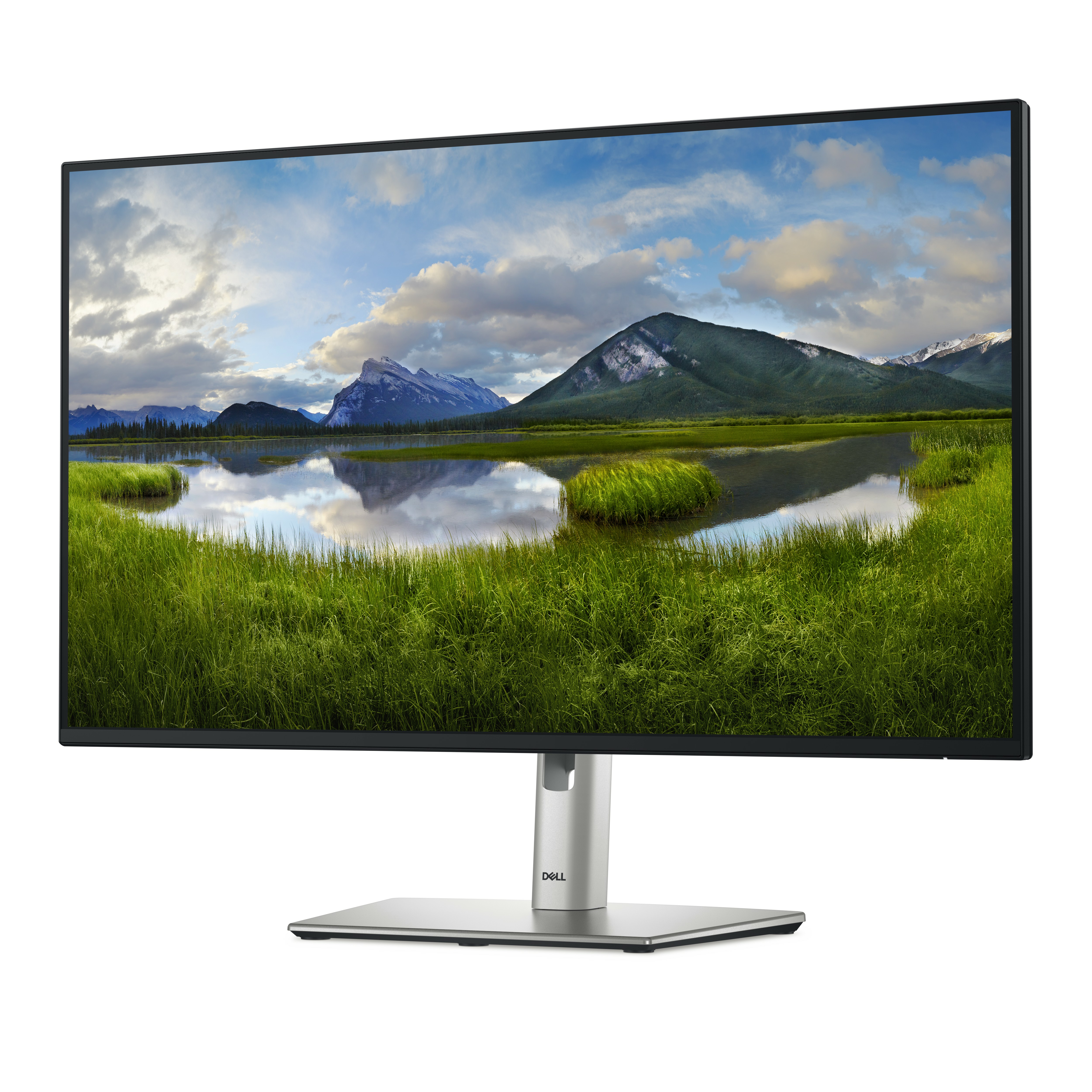 Un monitor Dell que muestra una escena de paisaje de montañas, hierba y un cielo nublado.