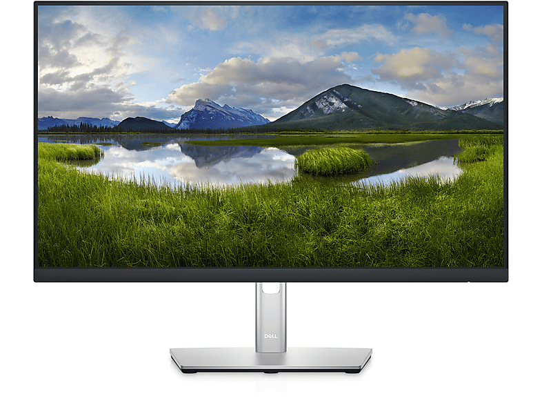 Monitor - DELL P Series P2422HE