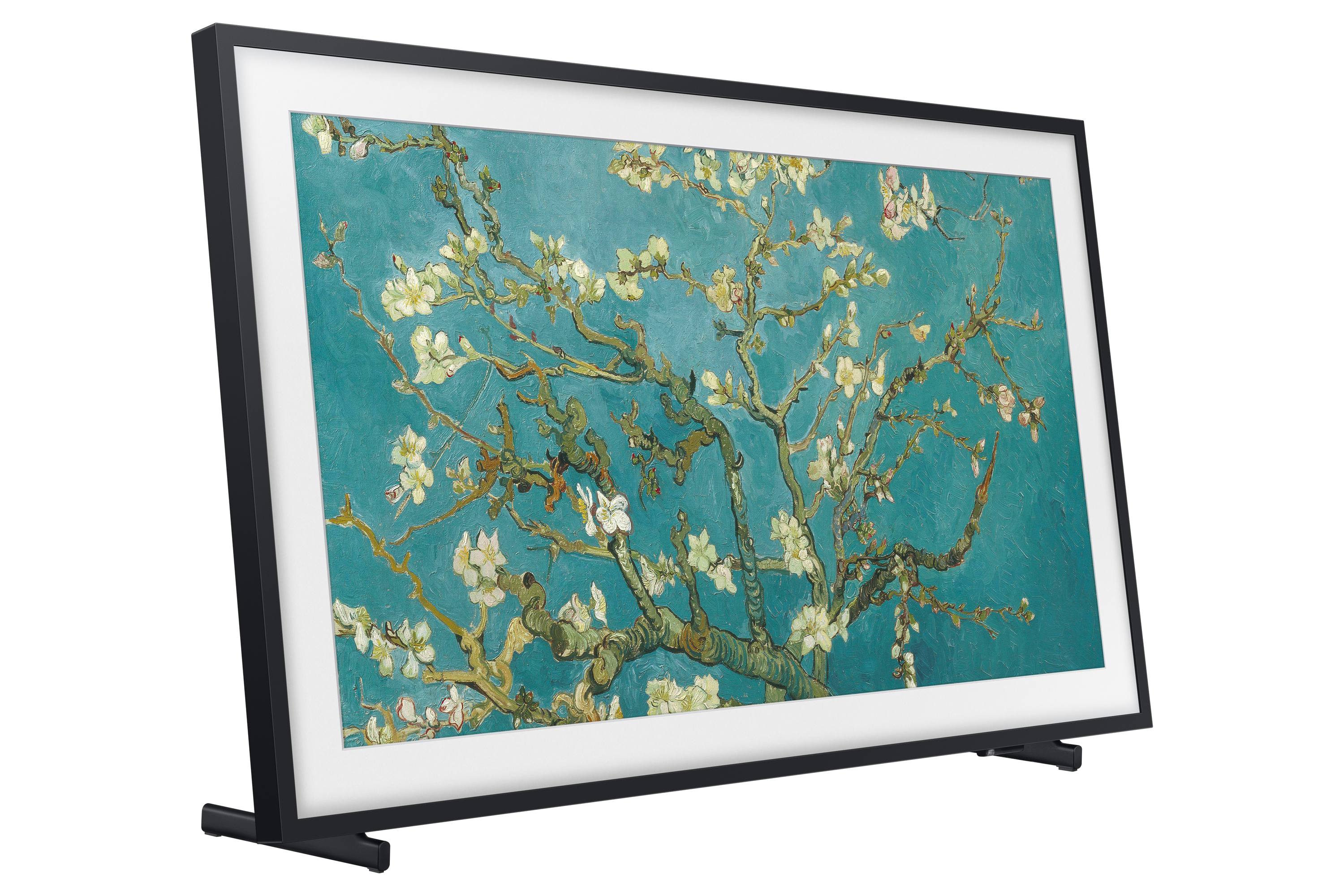 TV con dipinto di fiori su sfondo turchese, in una cornice nera.