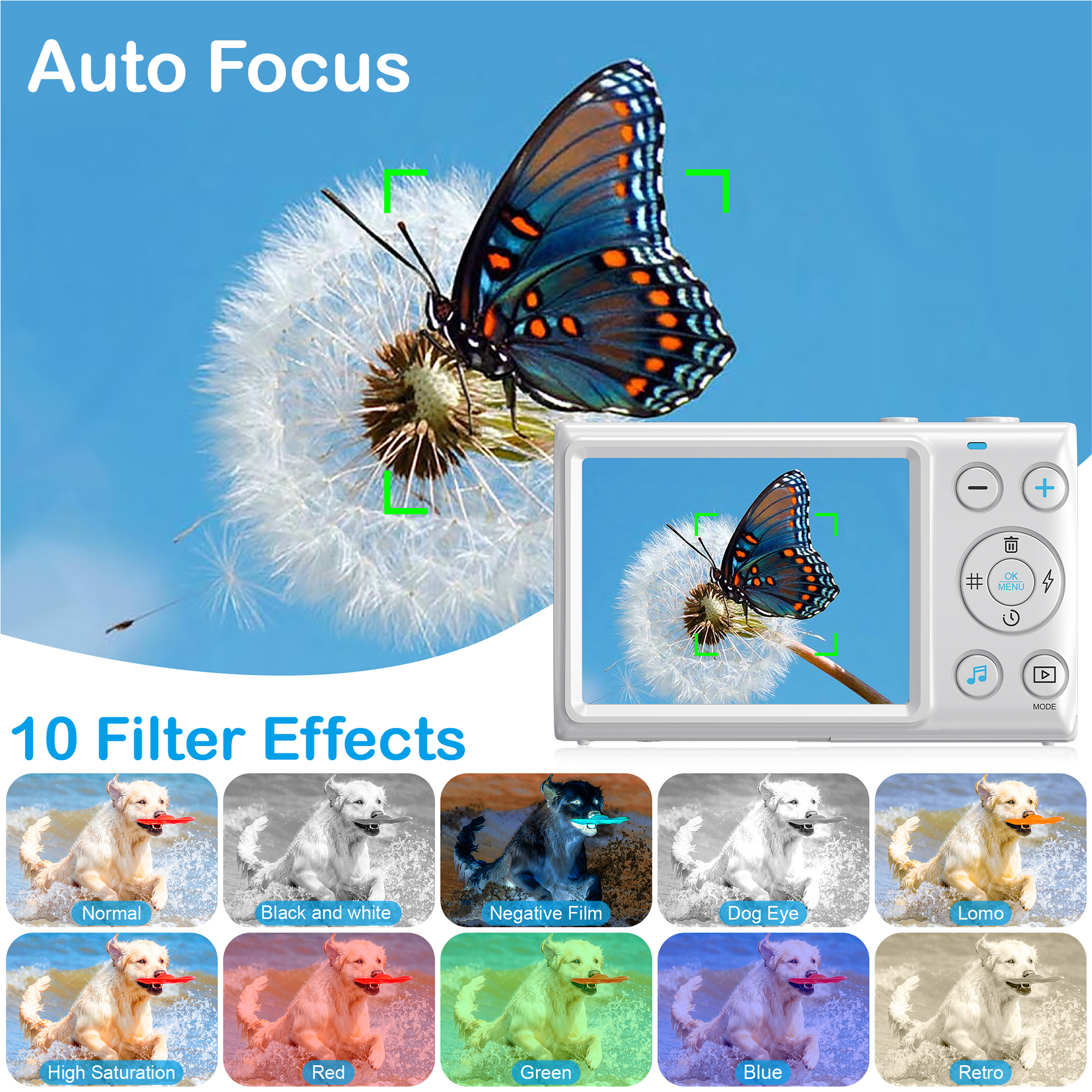 Eine Digitalkamera mit Schmetterling auf einer Pusteblume, der Bildschirm zeigt dasselbe Bild.