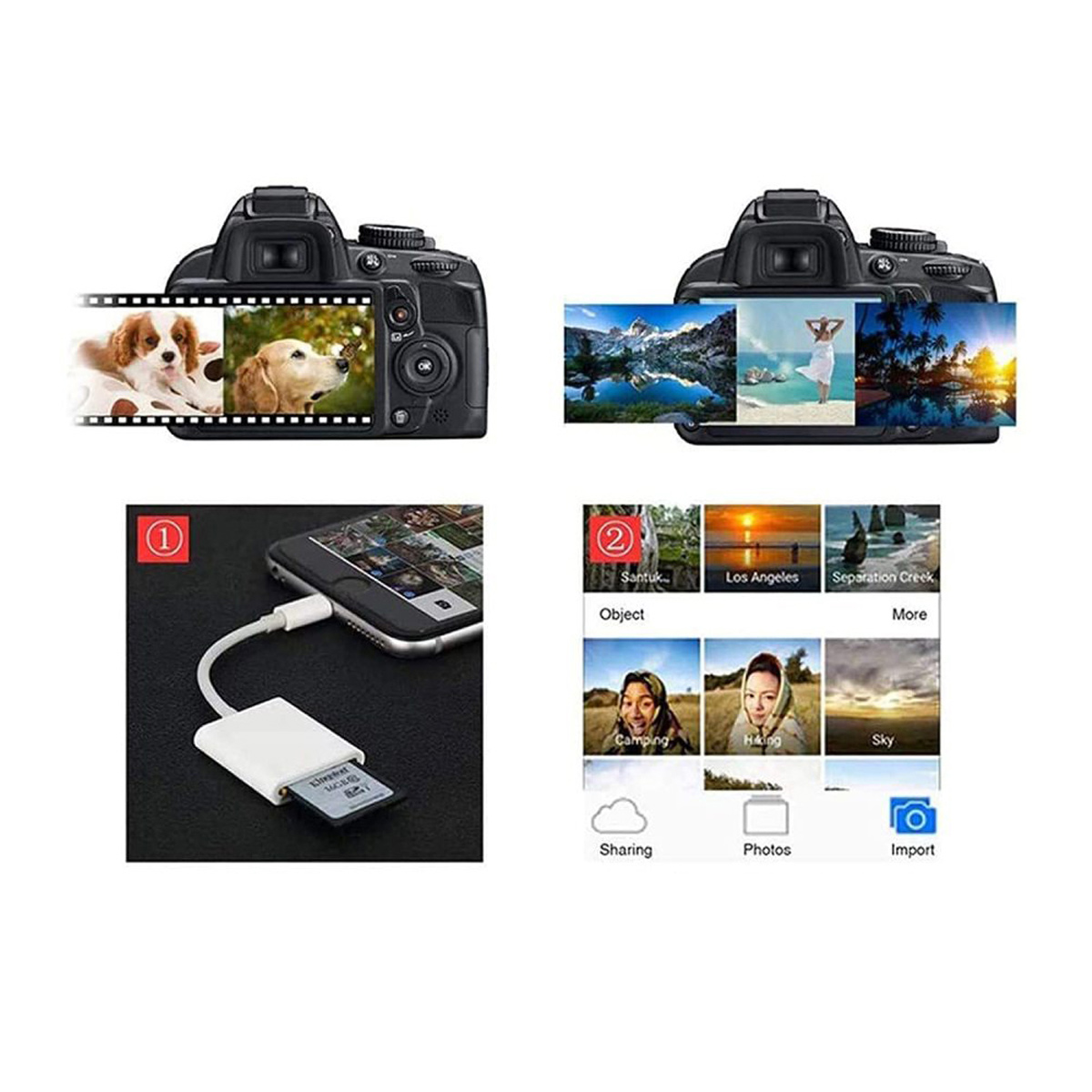 Zwei Kameras, die Fotos anzeigen. Ein Telefon verbindet sich mit einem Kartenleser. Symbole zeigen Teilen, Fotos und Import.