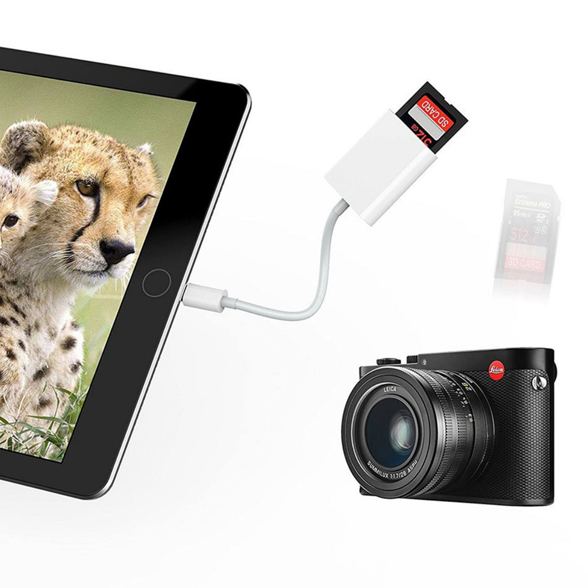 Tablet mit SD-Kartenleser, der mit einer Kamera verbunden ist und einen Geparden zeigt.