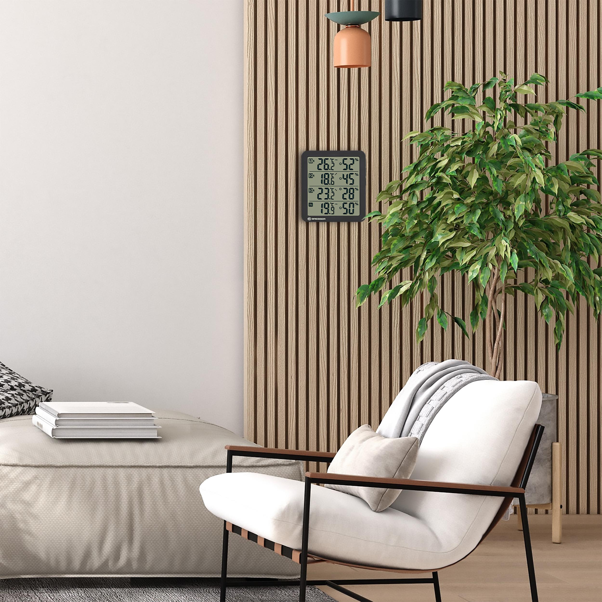 Eine Raumecke mit Stuhl, Pflanze und Wanddisplay.