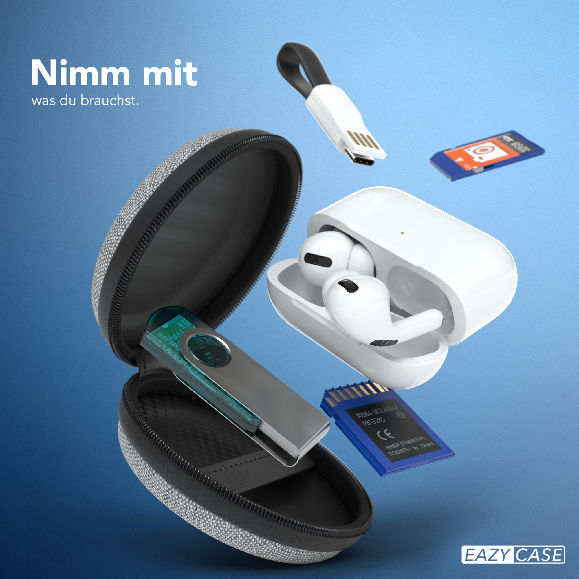 Etui mit Zubehör: Ohrhörer, USB-Kabel und Speicherkarten. Blauer Hintergrund.