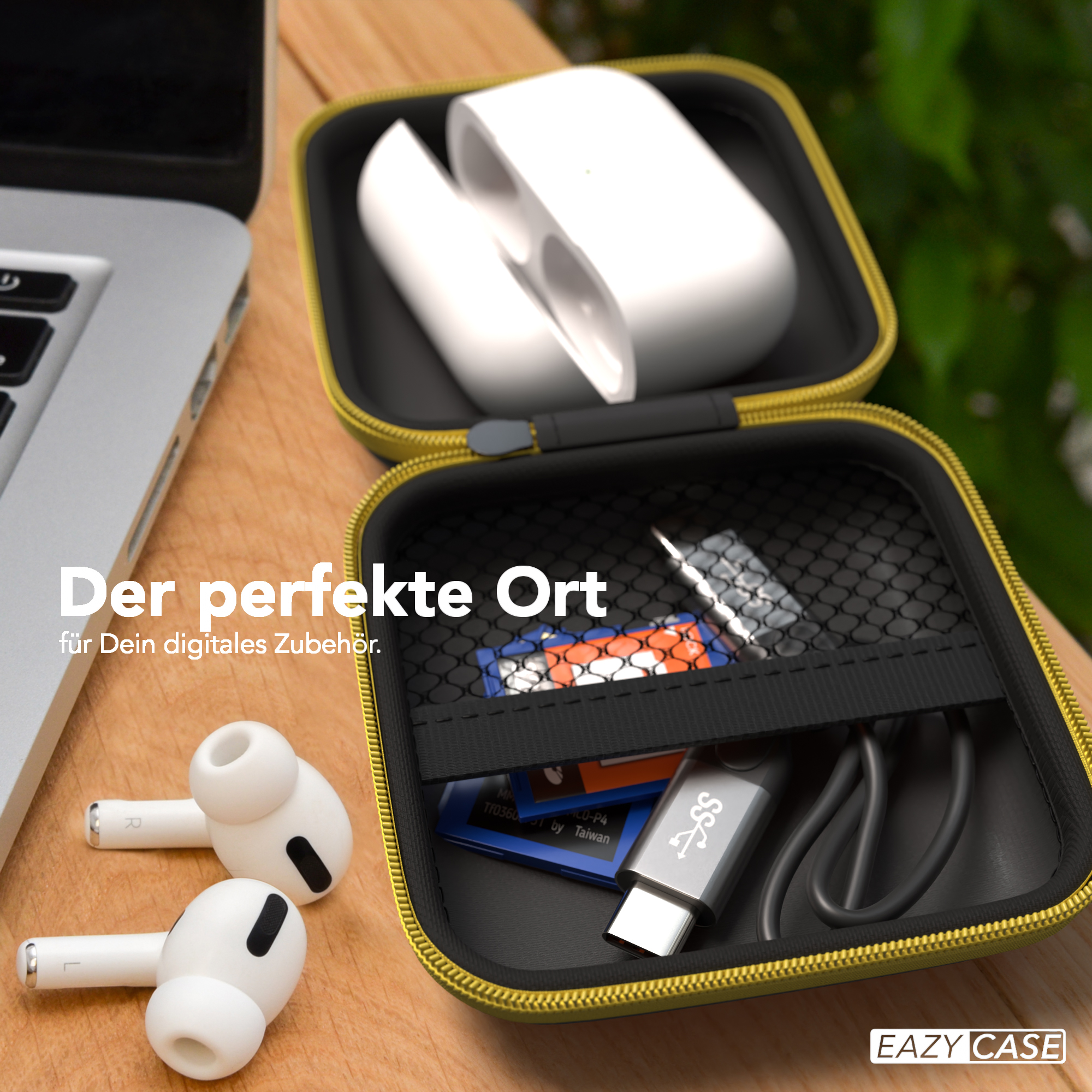 Ohrhörer in einem Etui auf Holzoberfläche. Etui offen, Zubehör sichtbar.