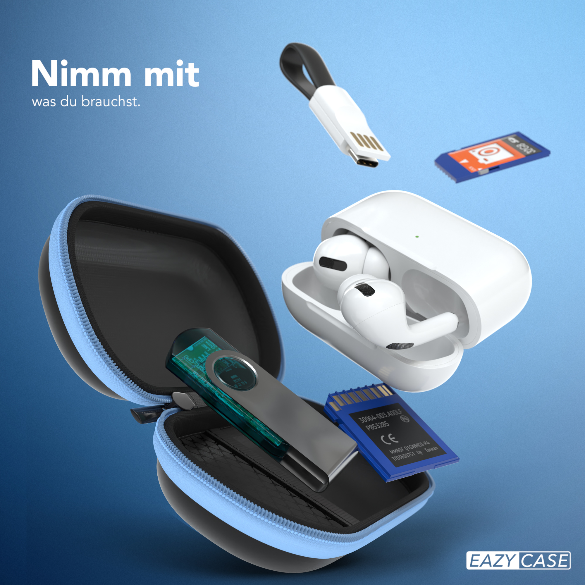 Etui mit Inhalt: Ohrhörer, USB-Stick, SD-Karte und Stecker.
