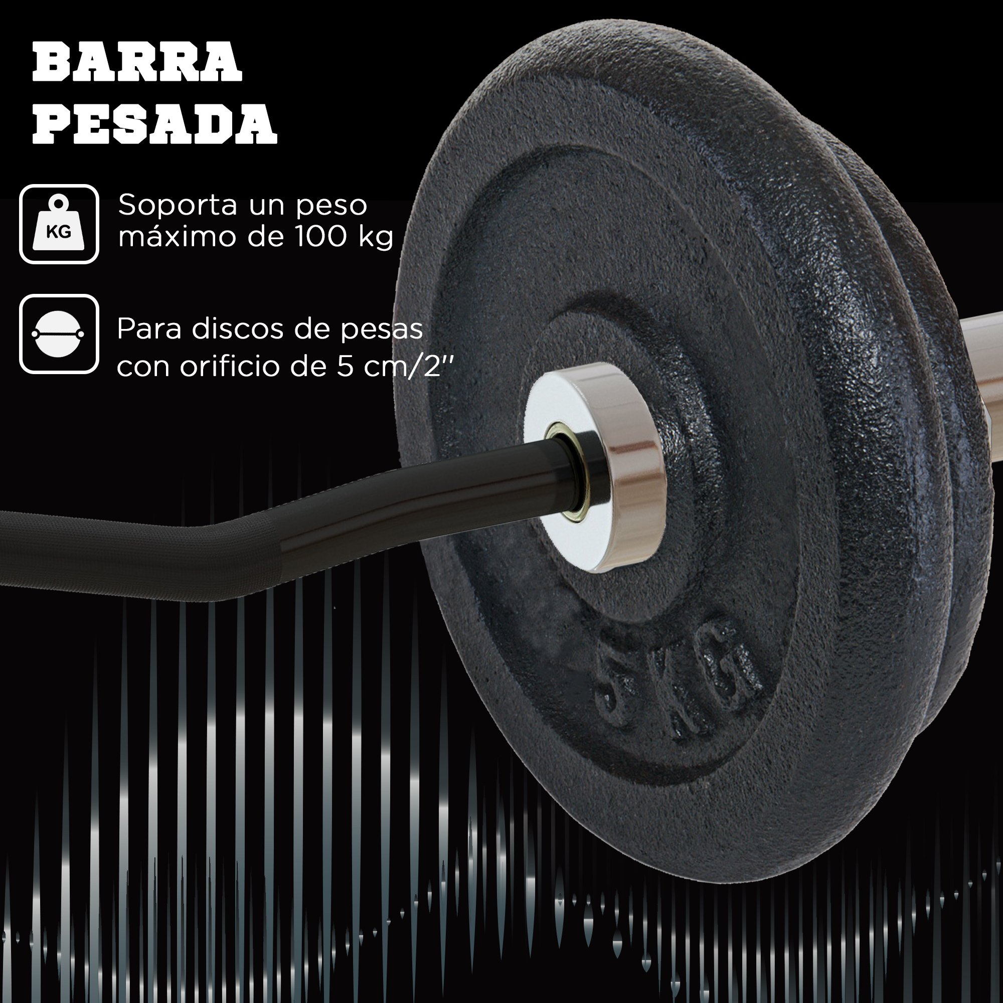 Una barra negra con un disco de pesas. La placa tiene 5 kg escrito. Fondo negro.