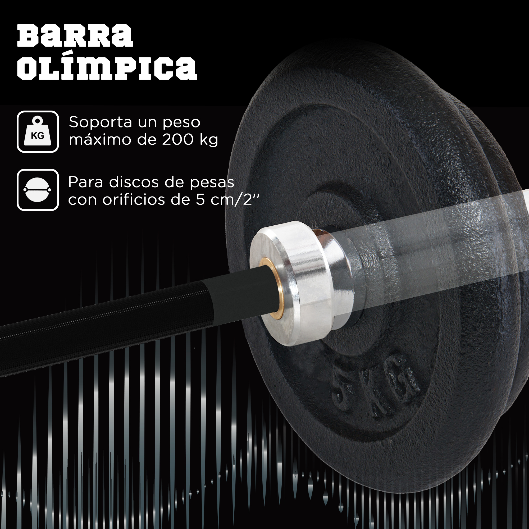 Primer plano de una barra olímpica con discos de pesas, mostrando una barra negra.