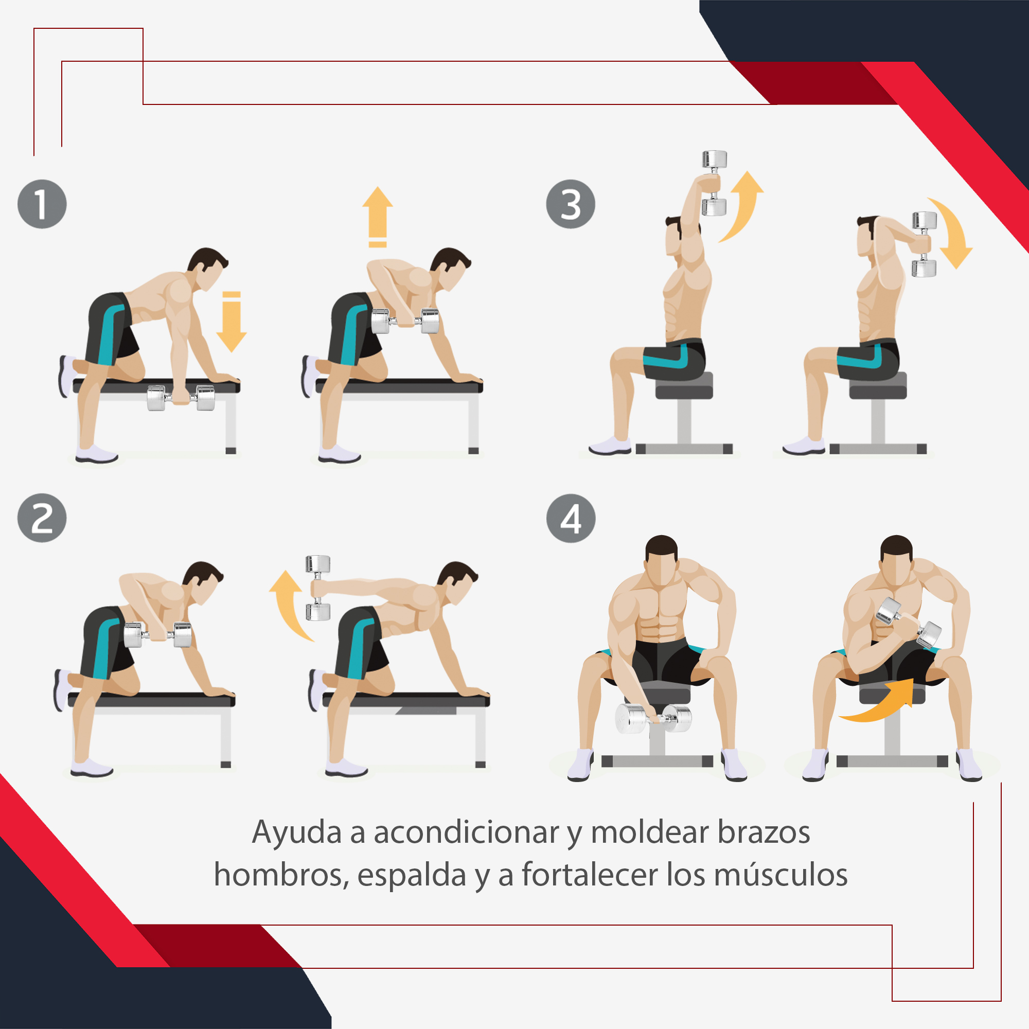 Guía de fitness ilustrada, mostrando ejercicios con mancuernas. Hombres realizan ejercicios, fondo blanco.