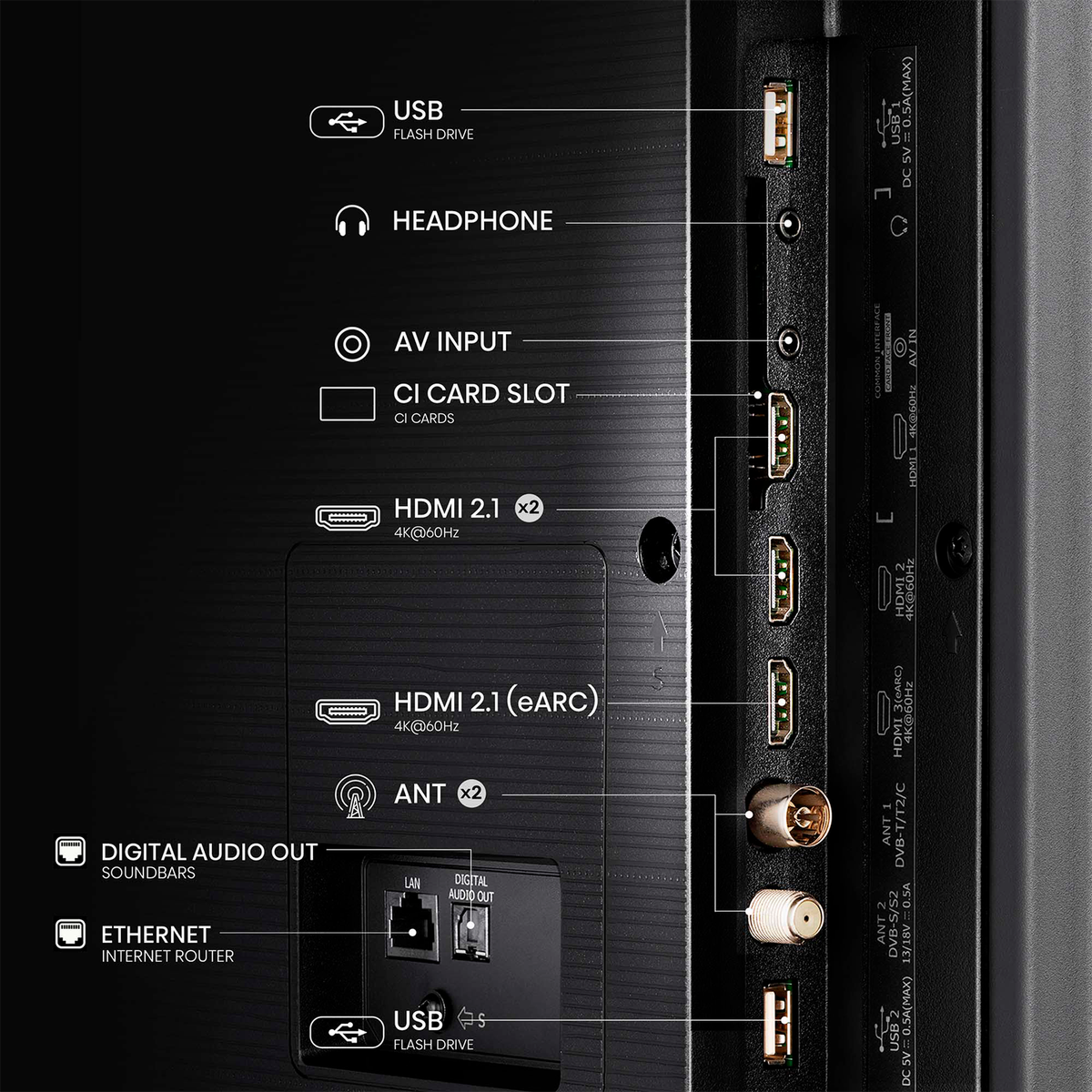 Panel trasero del televisor que muestra varios puertos: USB, HDMI, Ethernet, etc. Panel negro con etiquetas.