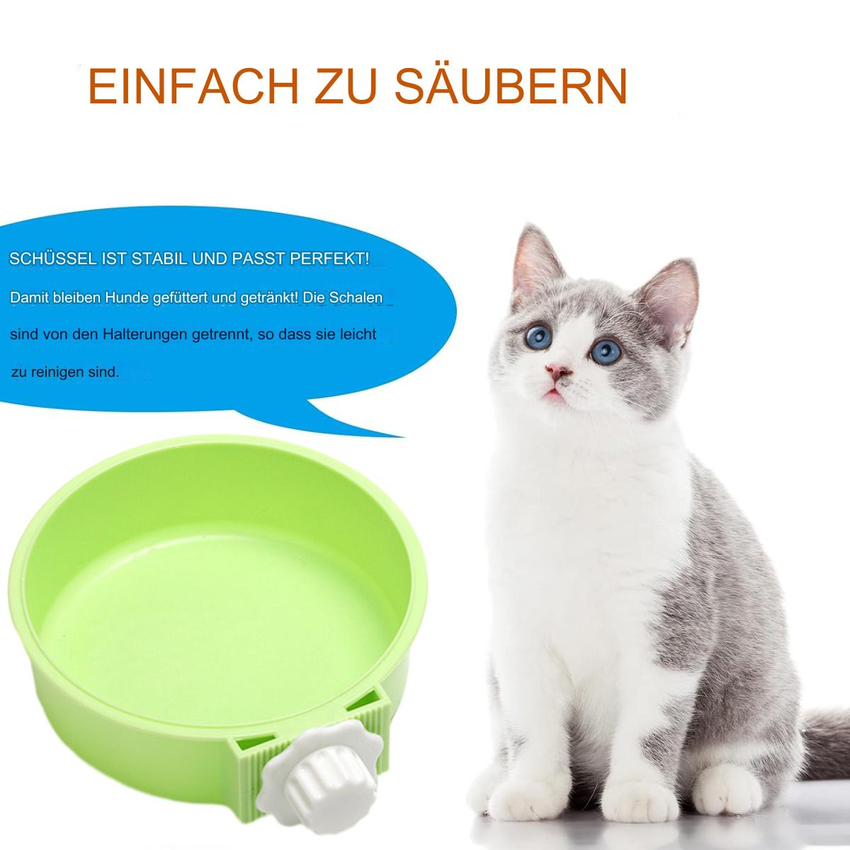 Eine grüne Futterschale neben einer grau-weißen Katze. Textblase erklärt die Eigenschaften.