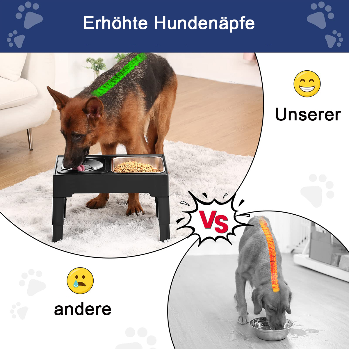 Ein Hund, der aus einer erhöhten Schüssel frisst, im Vergleich zu einem Hund, der aus einer Bodenschüssel frisst. Die erhöhte Schüssel ist besser.