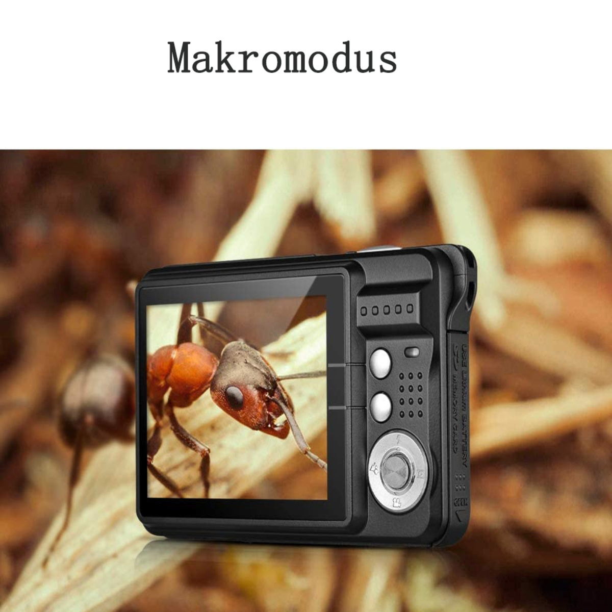 Makroaufnahme einer Kamera zeigt eine Ameise. Die Kamera ist schwarz, die Ameise rot und schwarz.