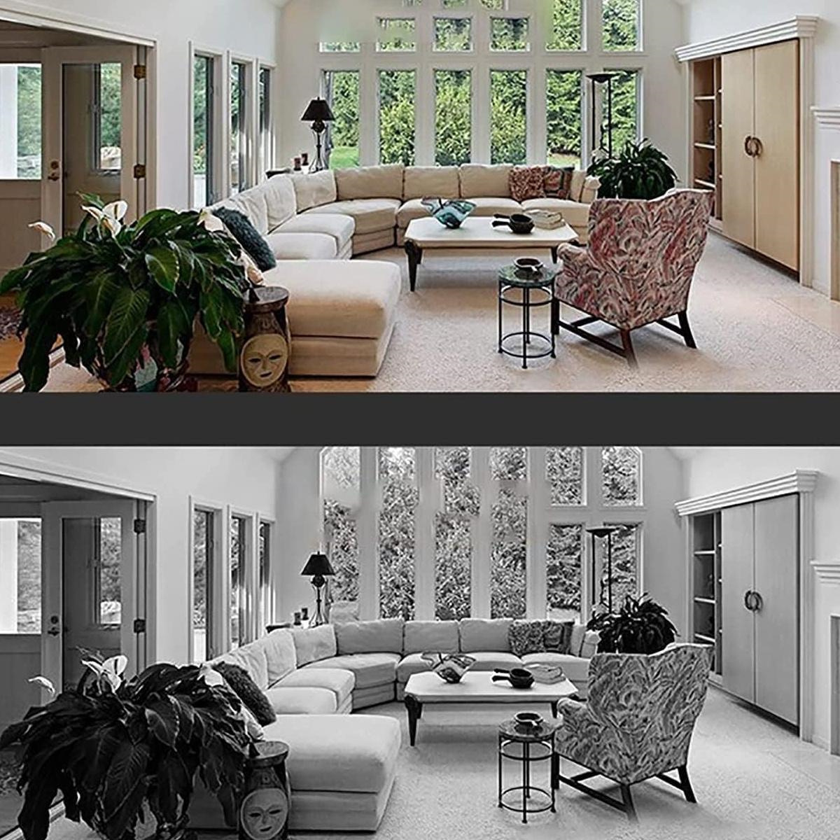 Wohnzimmer mit Fenstern, vorher und nachher in Schwarzweiß. Weißes Sofa, Stühle und Pflanzen.